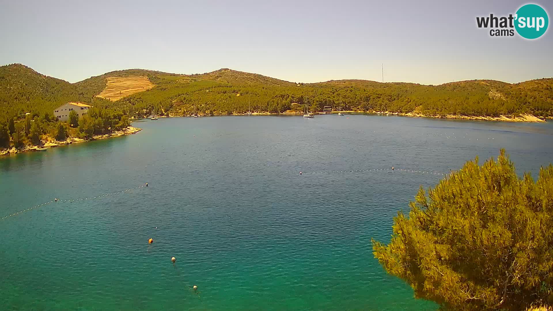Camera Hvar Vira playa | Isla de Hvar | Dalmacia