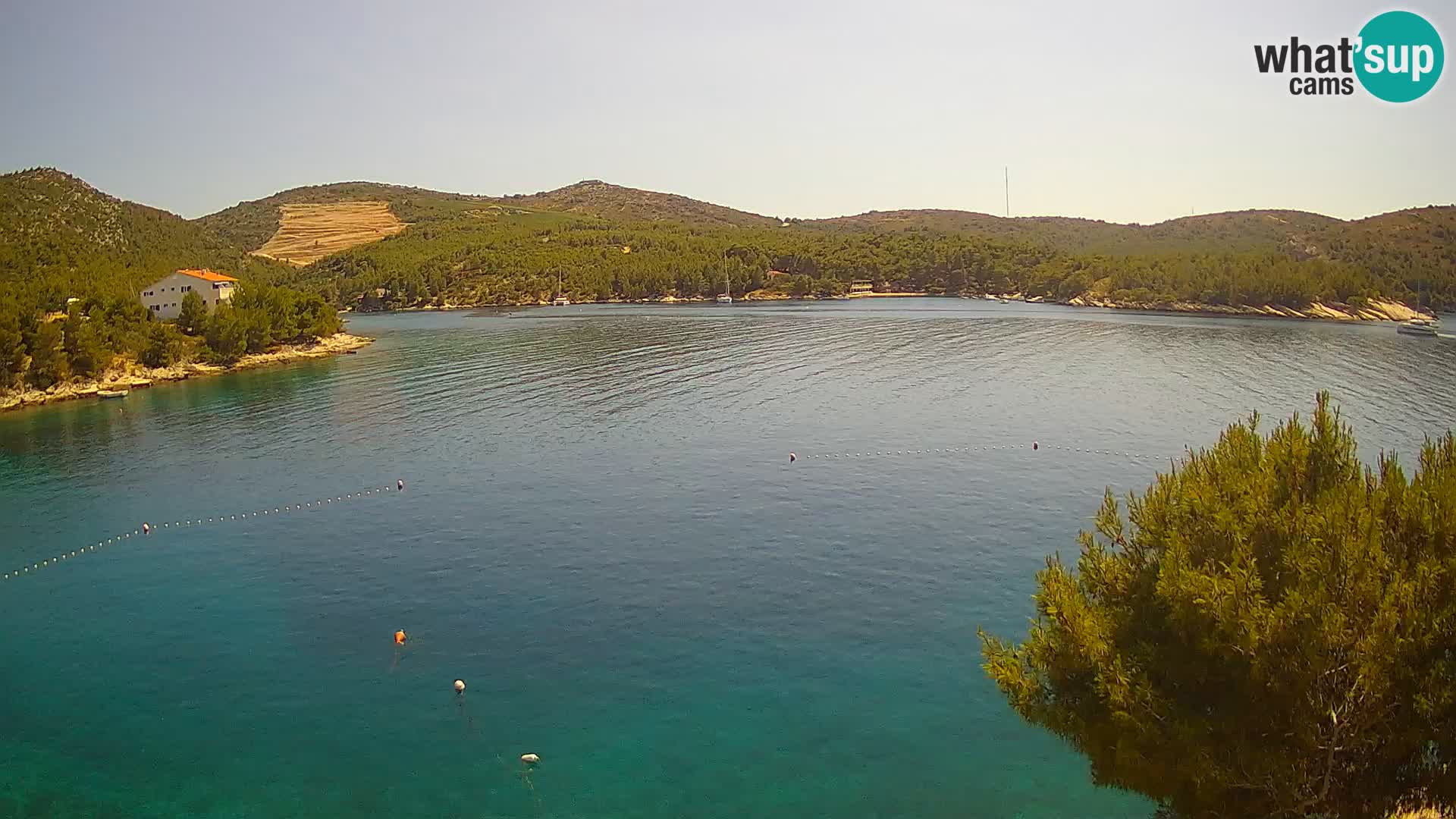 Hvar webcam Vira Strand | Hvar Insel | Dalmatien
