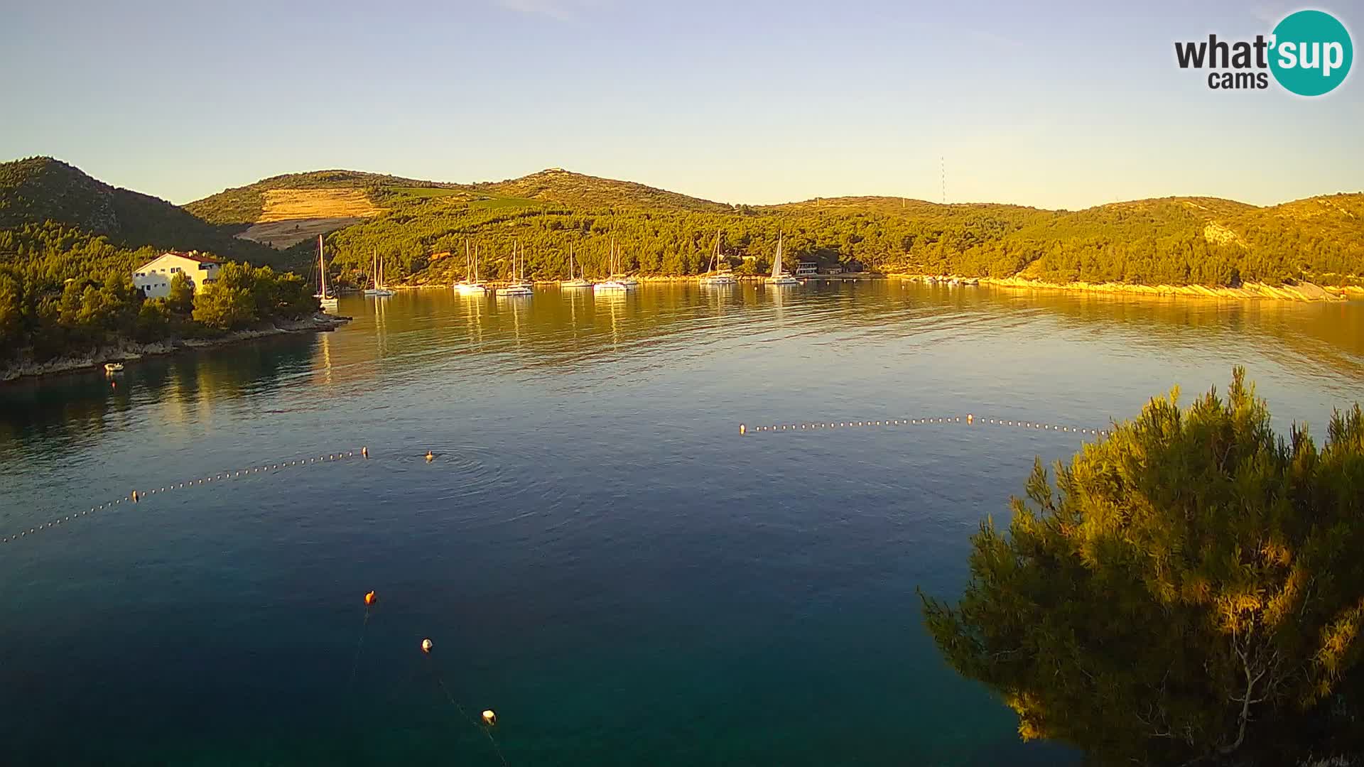 Live cam Hvar Vira plage | Île de Hvar | Dalmatie