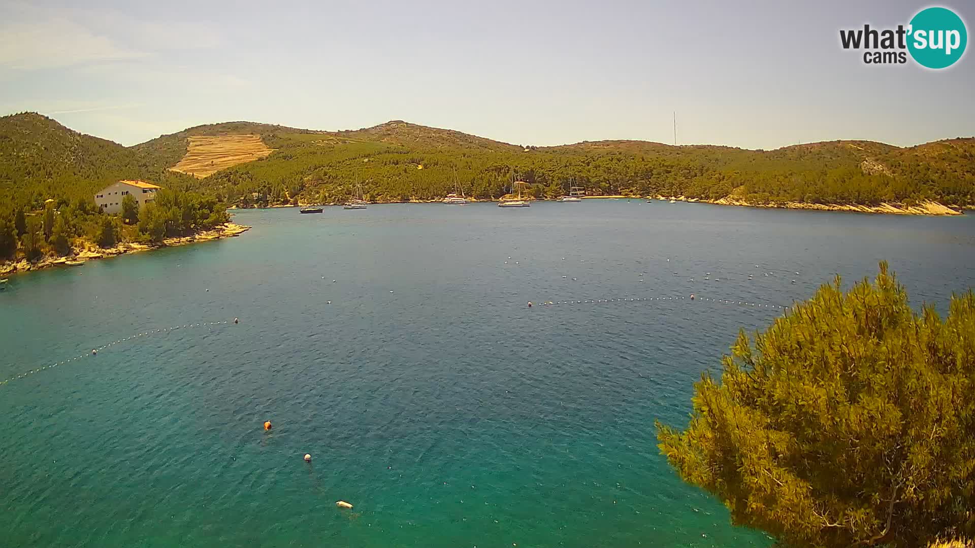 Camera Hvar Vira playa | Isla de Hvar | Dalmacia