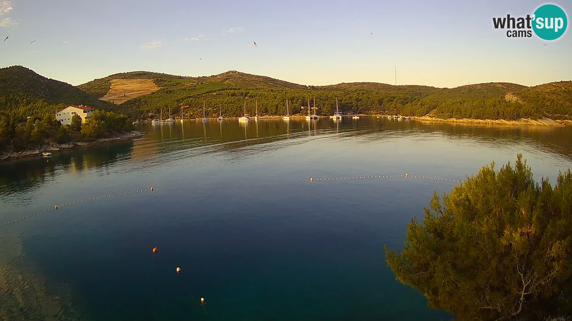 Hvar webcam Vira Strand | Hvar Insel | Dalmatien
