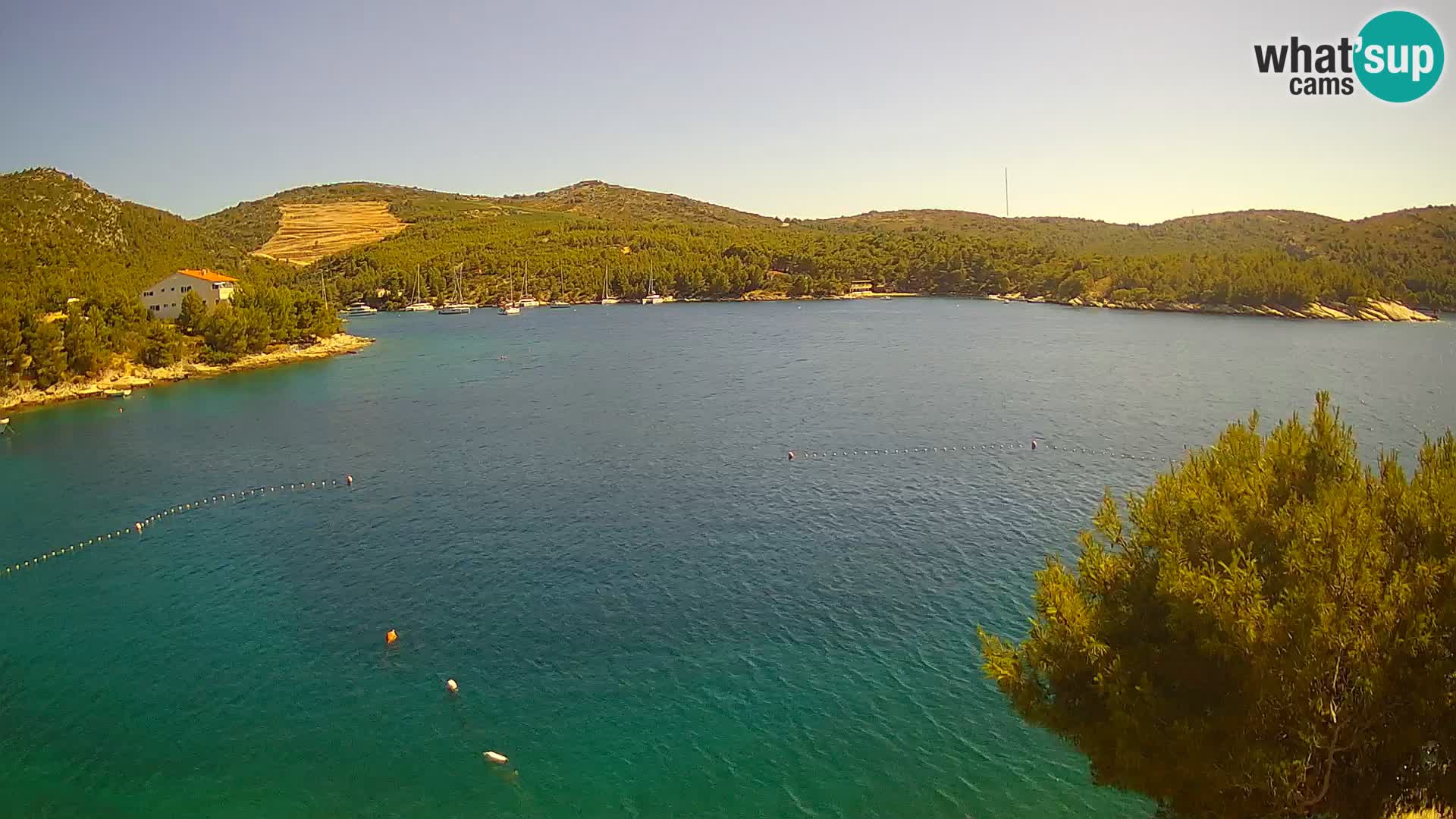 Camera Hvar Vira playa | Isla de Hvar | Dalmacia