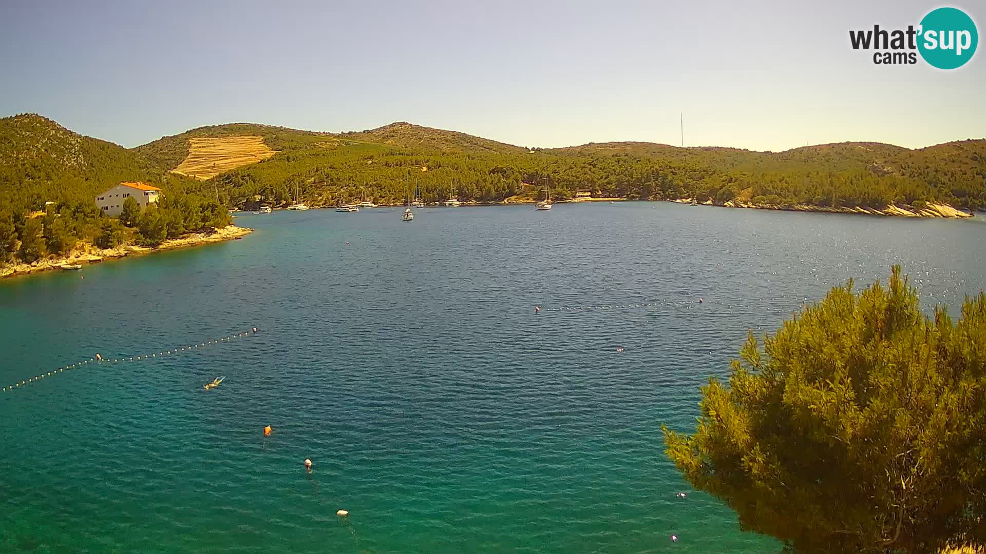 Live cam Hvar Vira plage | Île de Hvar | Dalmatie