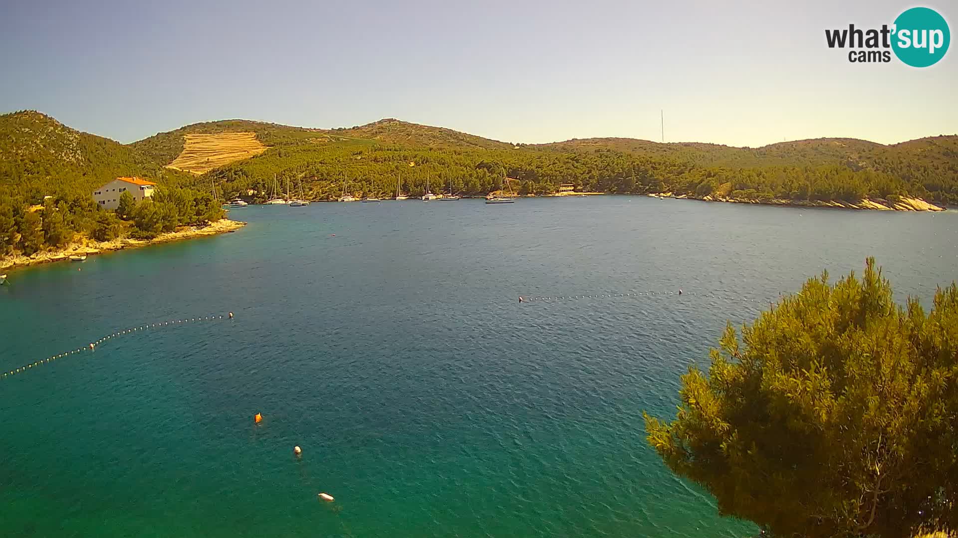 Webcam Hvar Vira beach | Hvar island | Dalmatia