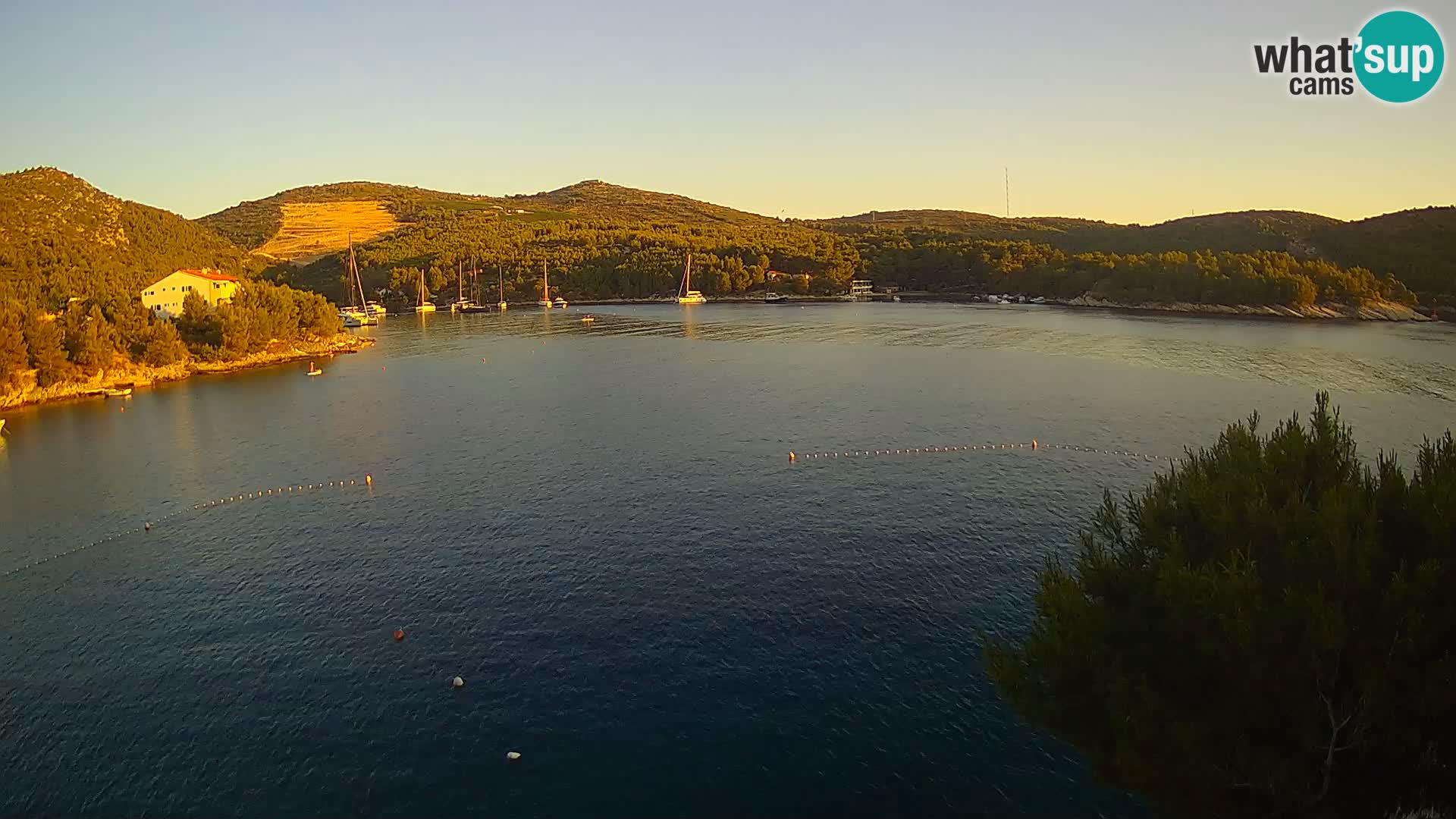 Camera Hvar Vira playa | Isla de Hvar | Dalmacia