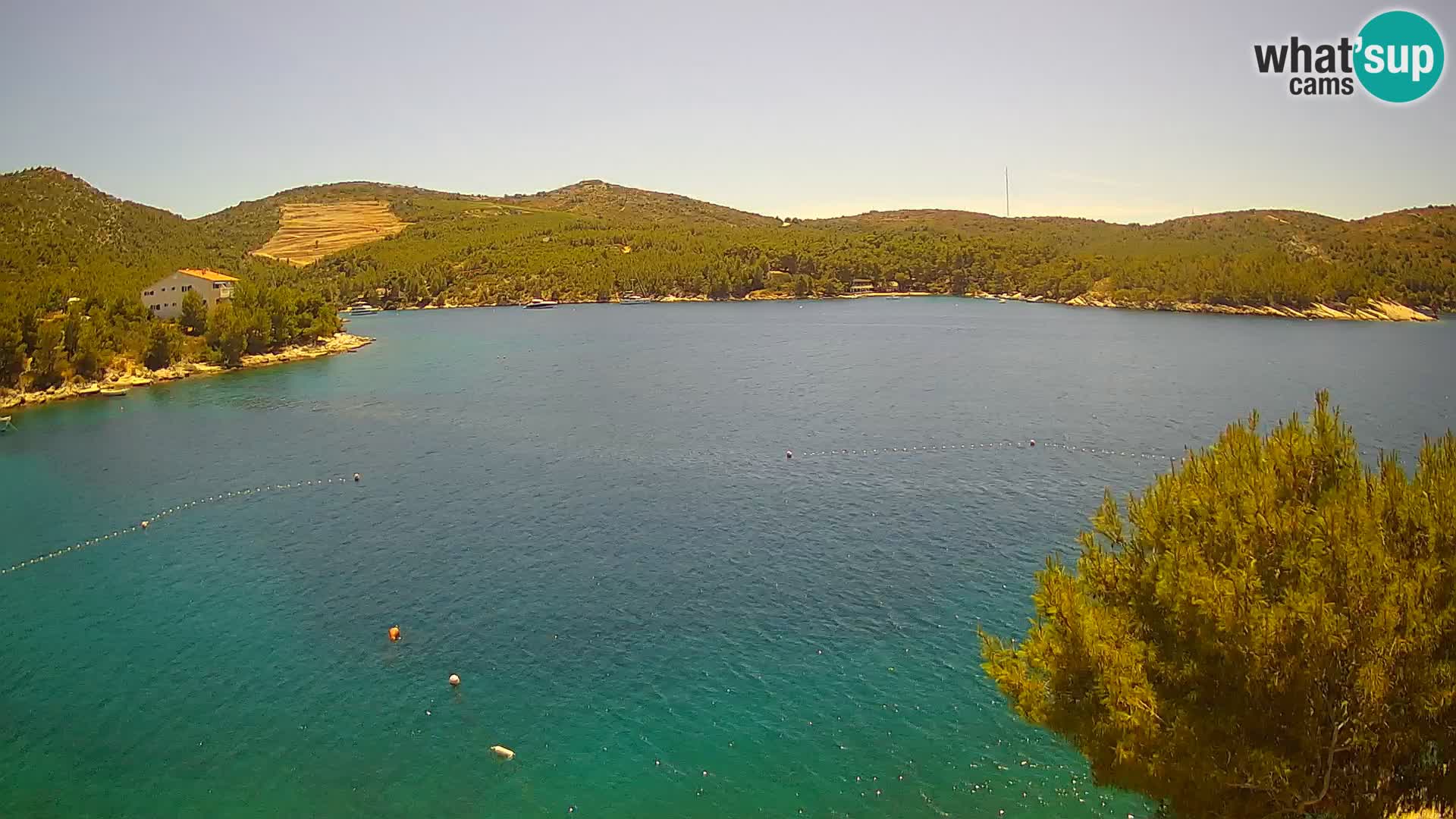 Web kamera Hvar Vira plaža | otok Hvar | Dalmacija