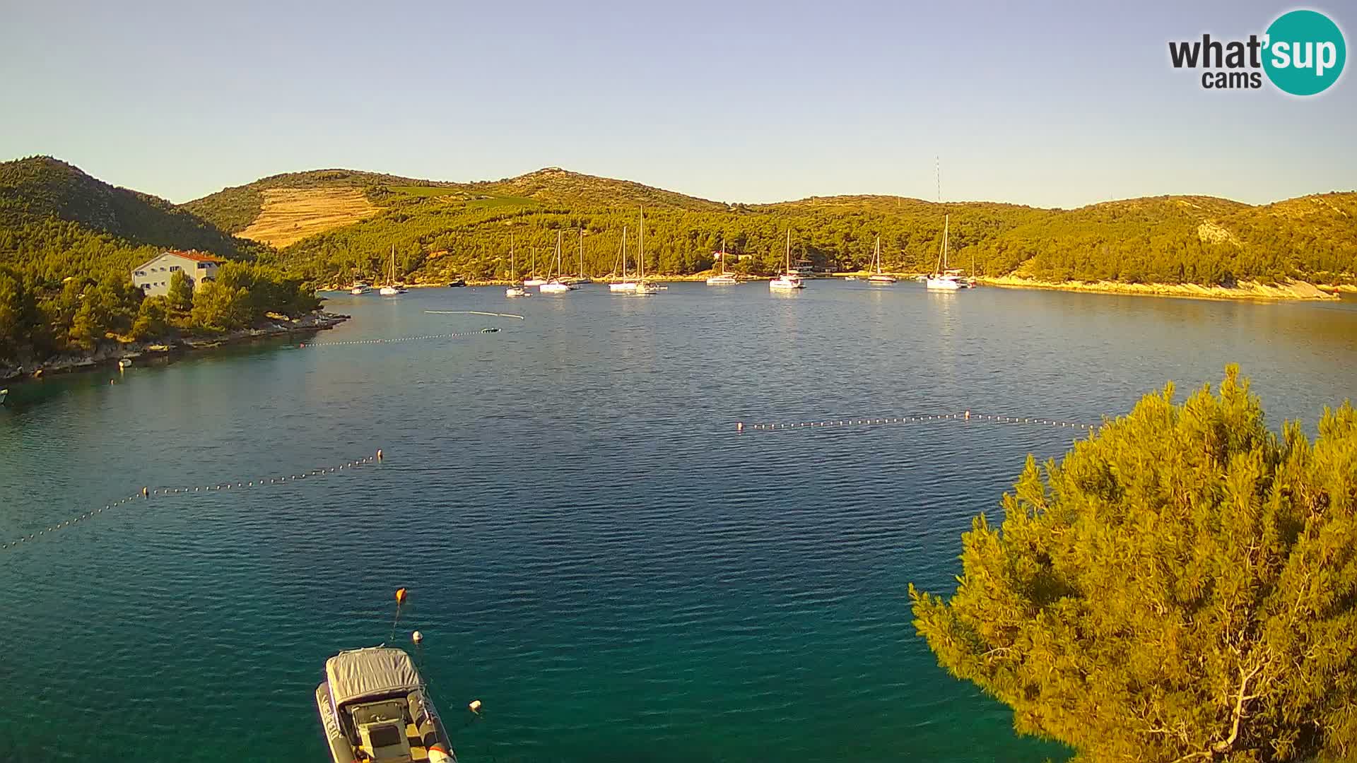Camera Hvar Vira playa | Isla de Hvar | Dalmacia