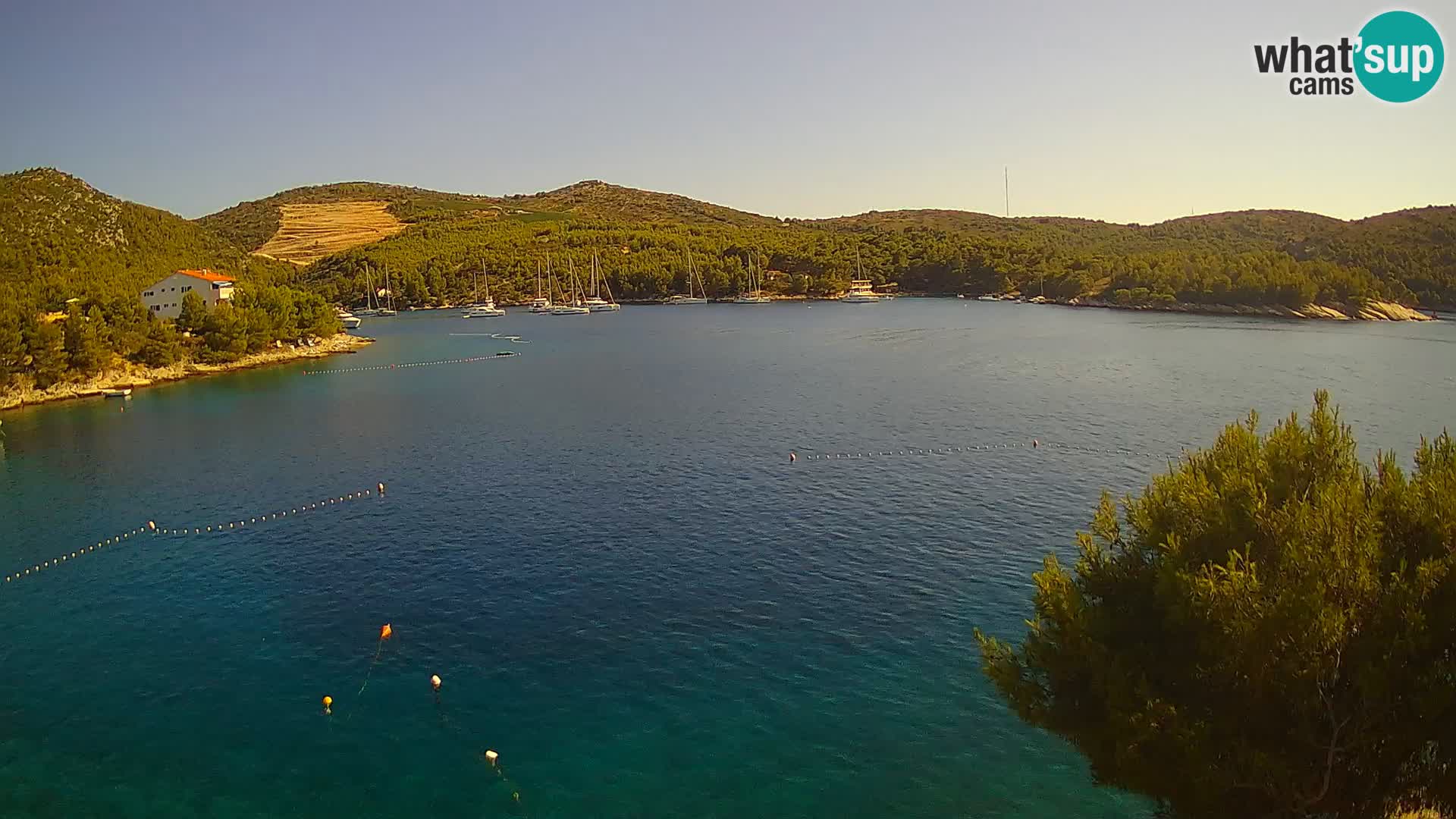 Hvar webcam Vira Strand | Hvar Insel | Dalmatien