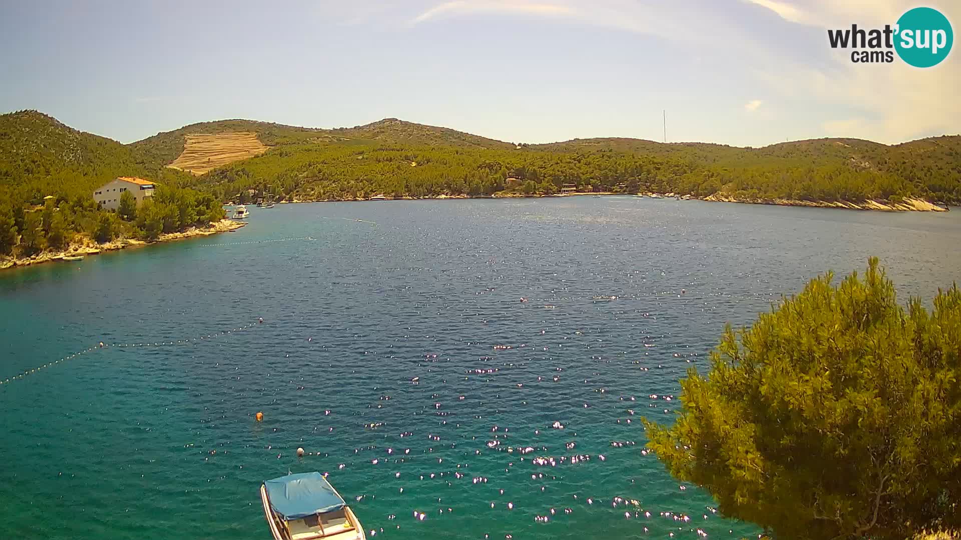 Hvar webcam Vira Strand | Hvar Insel | Dalmatien