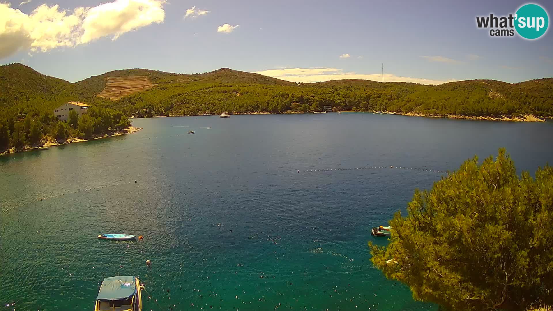 Camera Hvar Vira playa | Isla de Hvar | Dalmacia