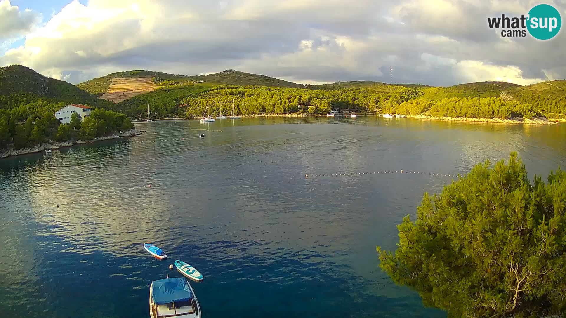 Camera Hvar Vira playa | Isla de Hvar | Dalmacia