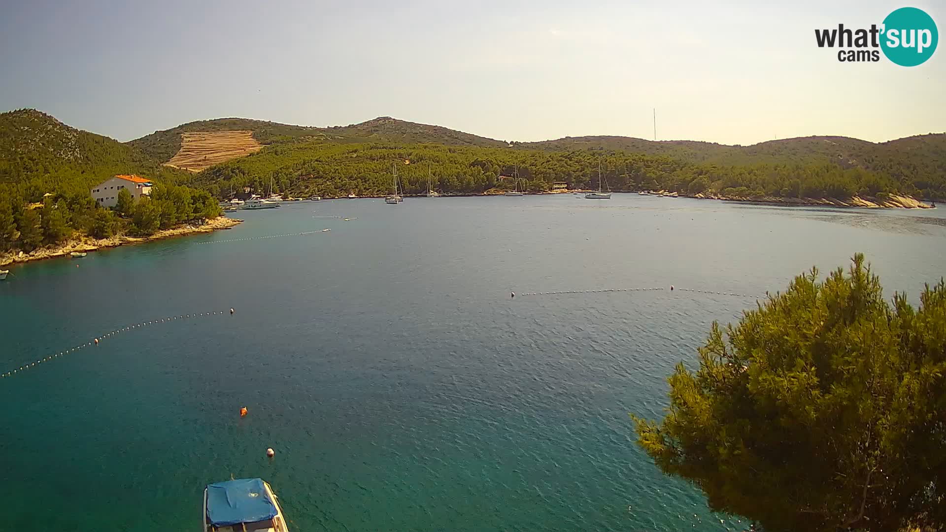 Web kamera Hvar Vira plaža | otok Hvar | Dalmacija