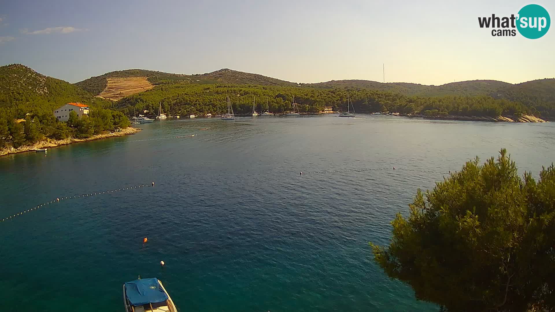 Camera Hvar Vira playa | Isla de Hvar | Dalmacia