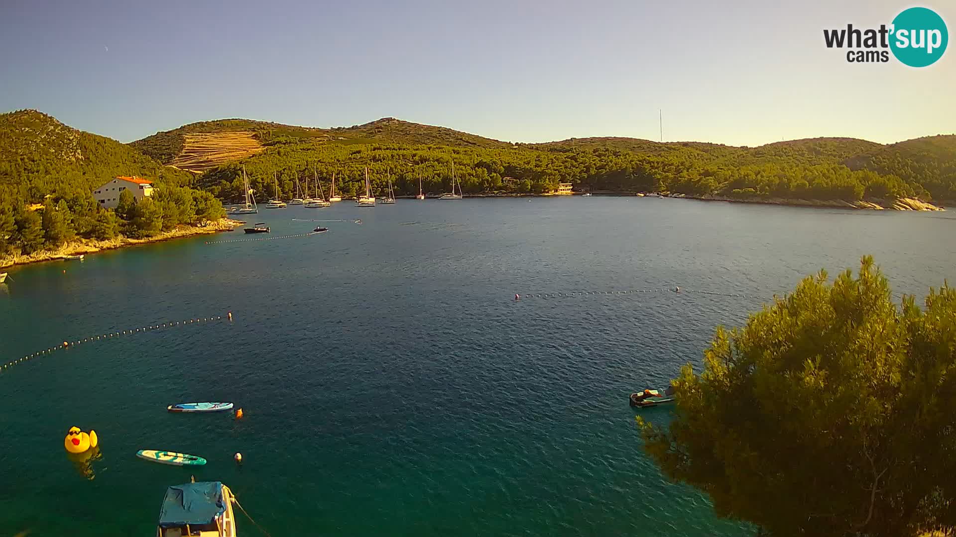 Camera Hvar Vira playa | Isla de Hvar | Dalmacia