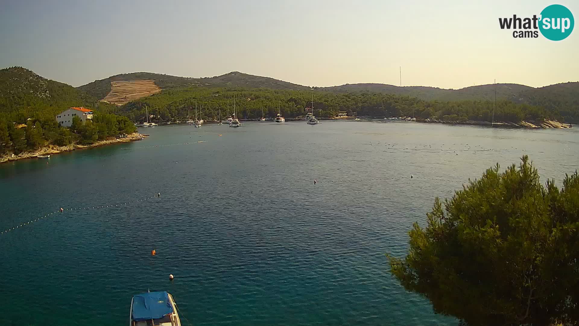 Live cam Hvar Vira plage | Île de Hvar | Dalmatie