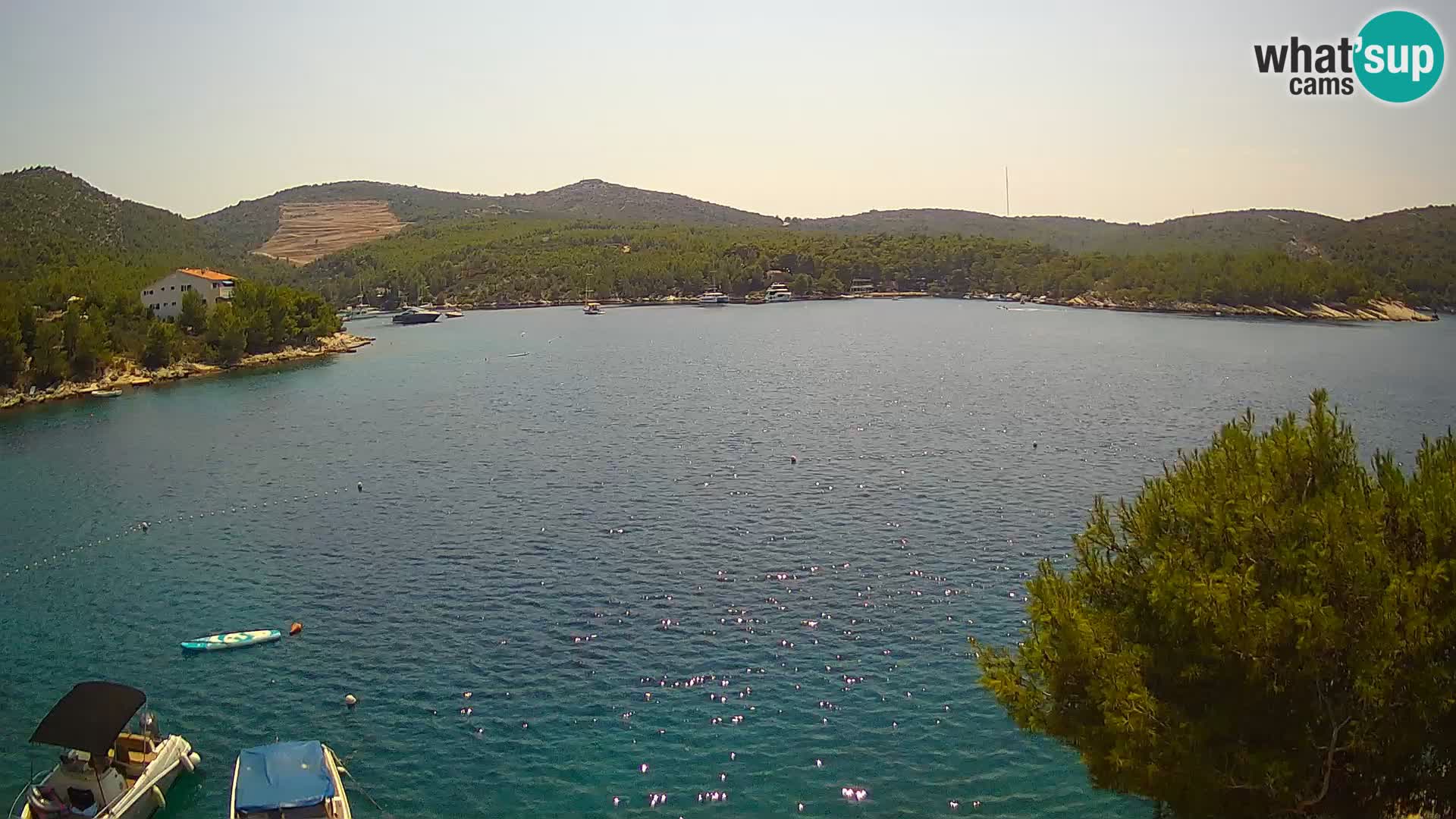 Live cam Hvar Vira plage | Île de Hvar | Dalmatie