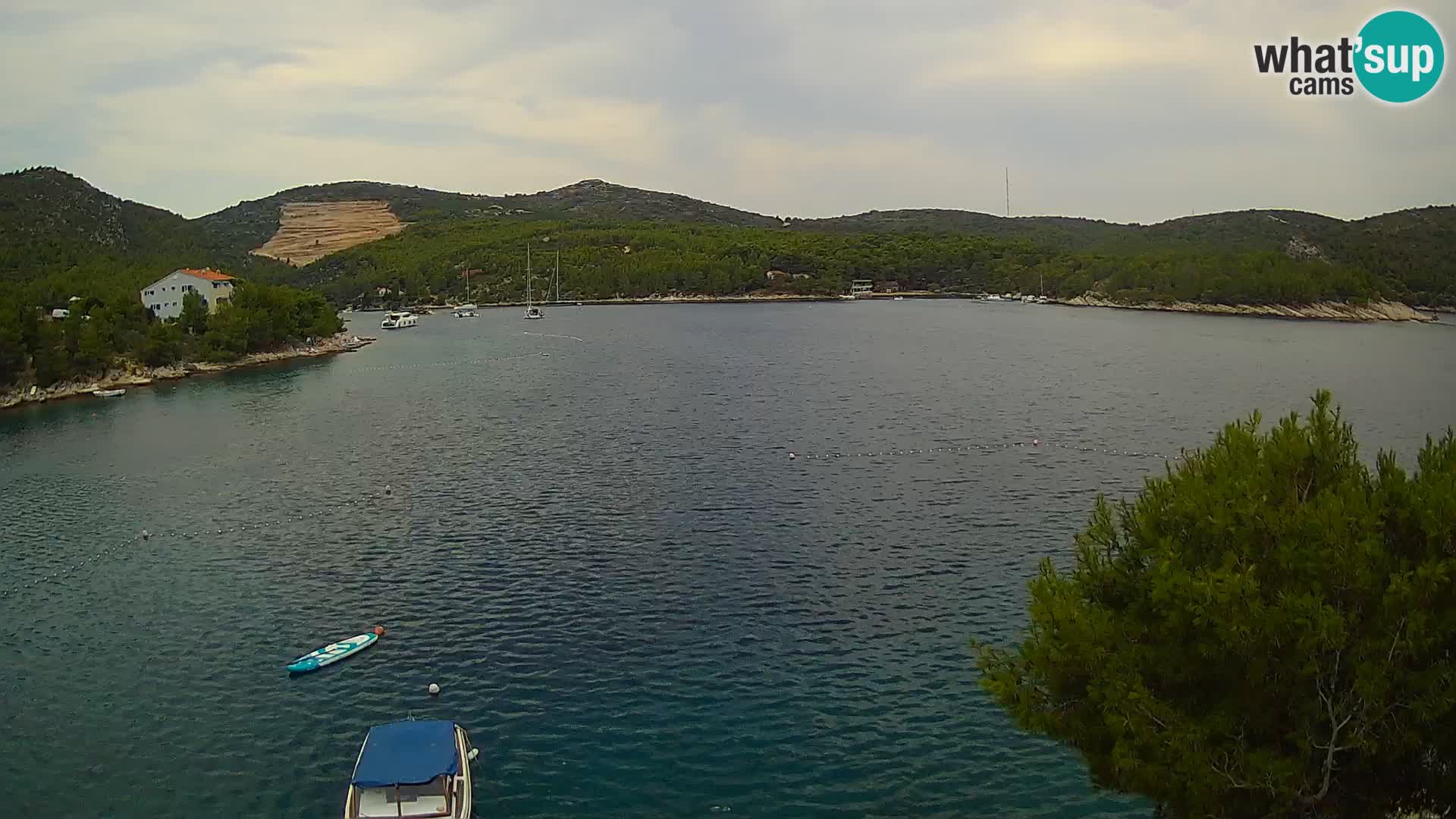 Camera Hvar Vira playa | Isla de Hvar | Dalmacia