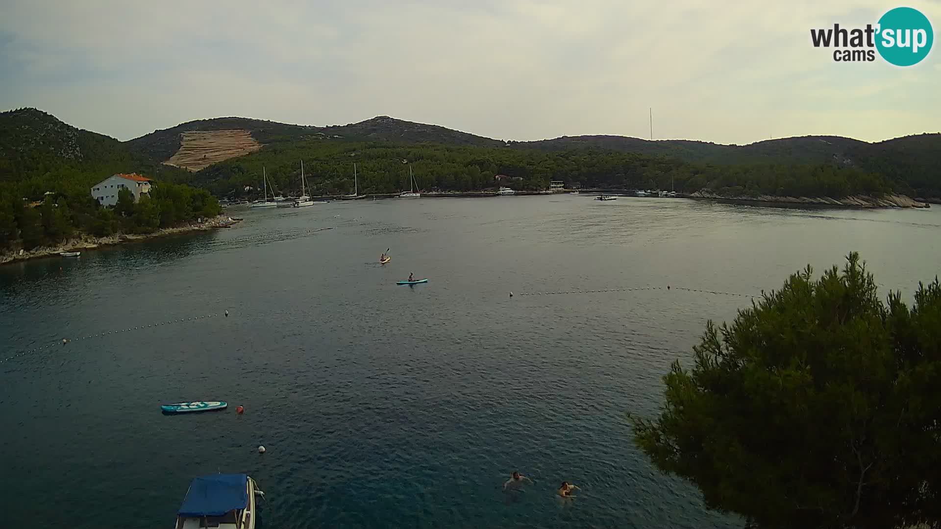 Live cam Hvar Vira plage | Île de Hvar | Dalmatie