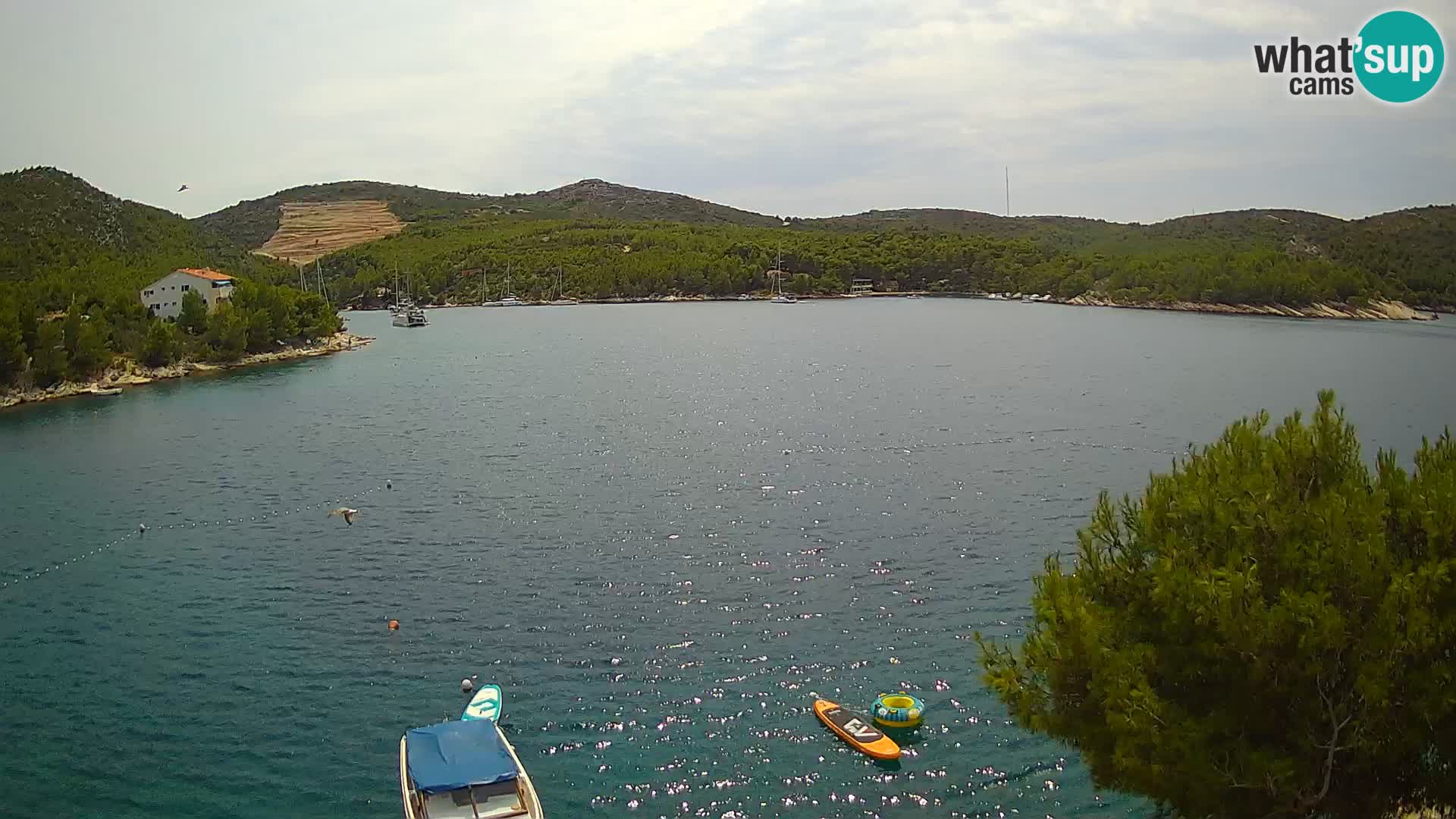 Webcam Hvar Vira beach | Hvar island | Dalmatia