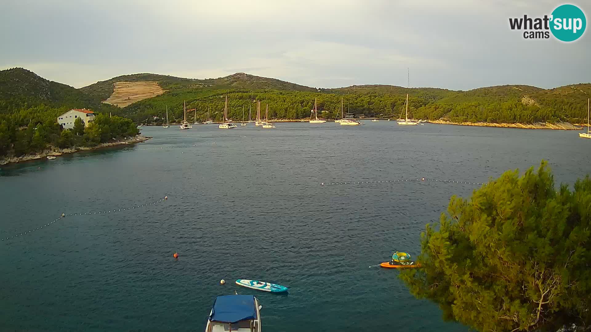Camera Hvar Vira playa | Isla de Hvar | Dalmacia