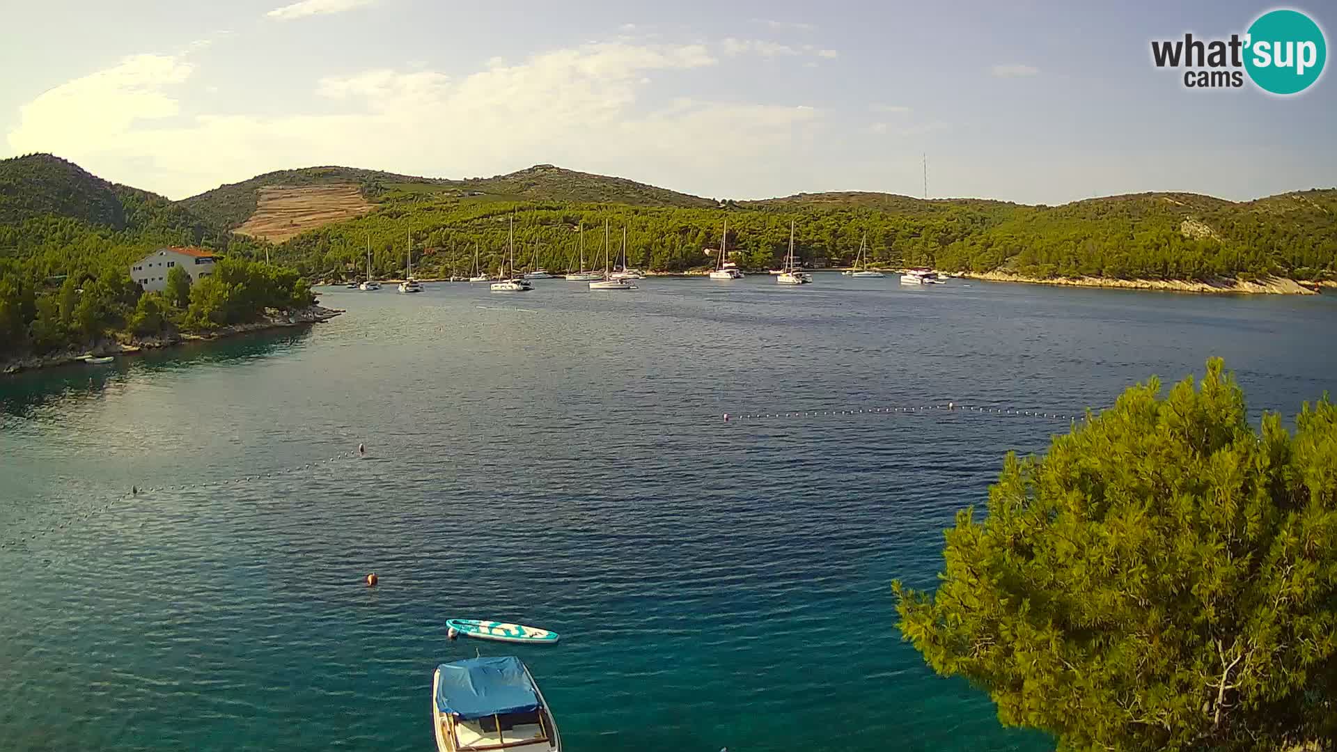 Camera Hvar Vira playa | Isla de Hvar | Dalmacia