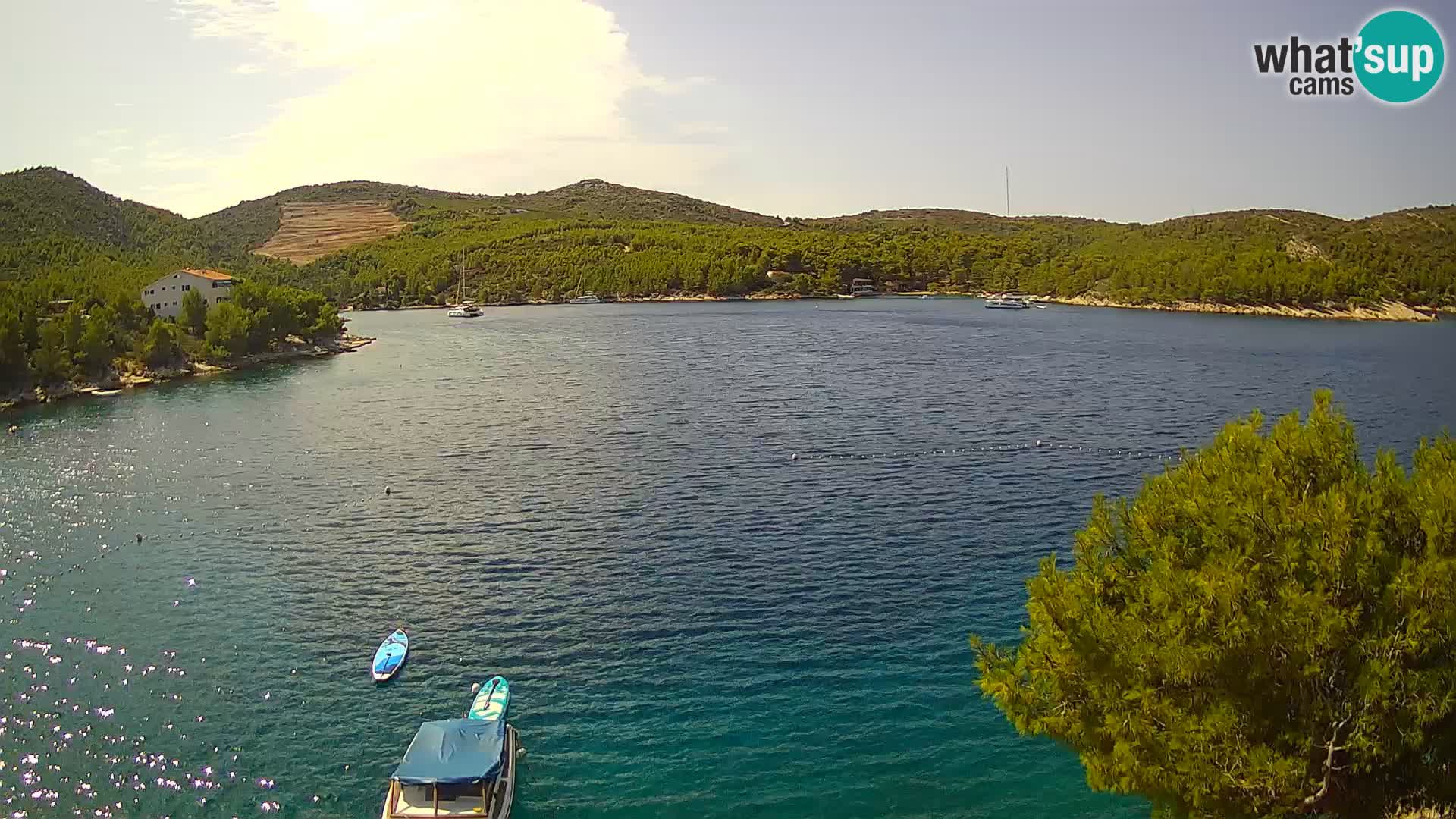 Camera Hvar Vira playa | Isla de Hvar | Dalmacia