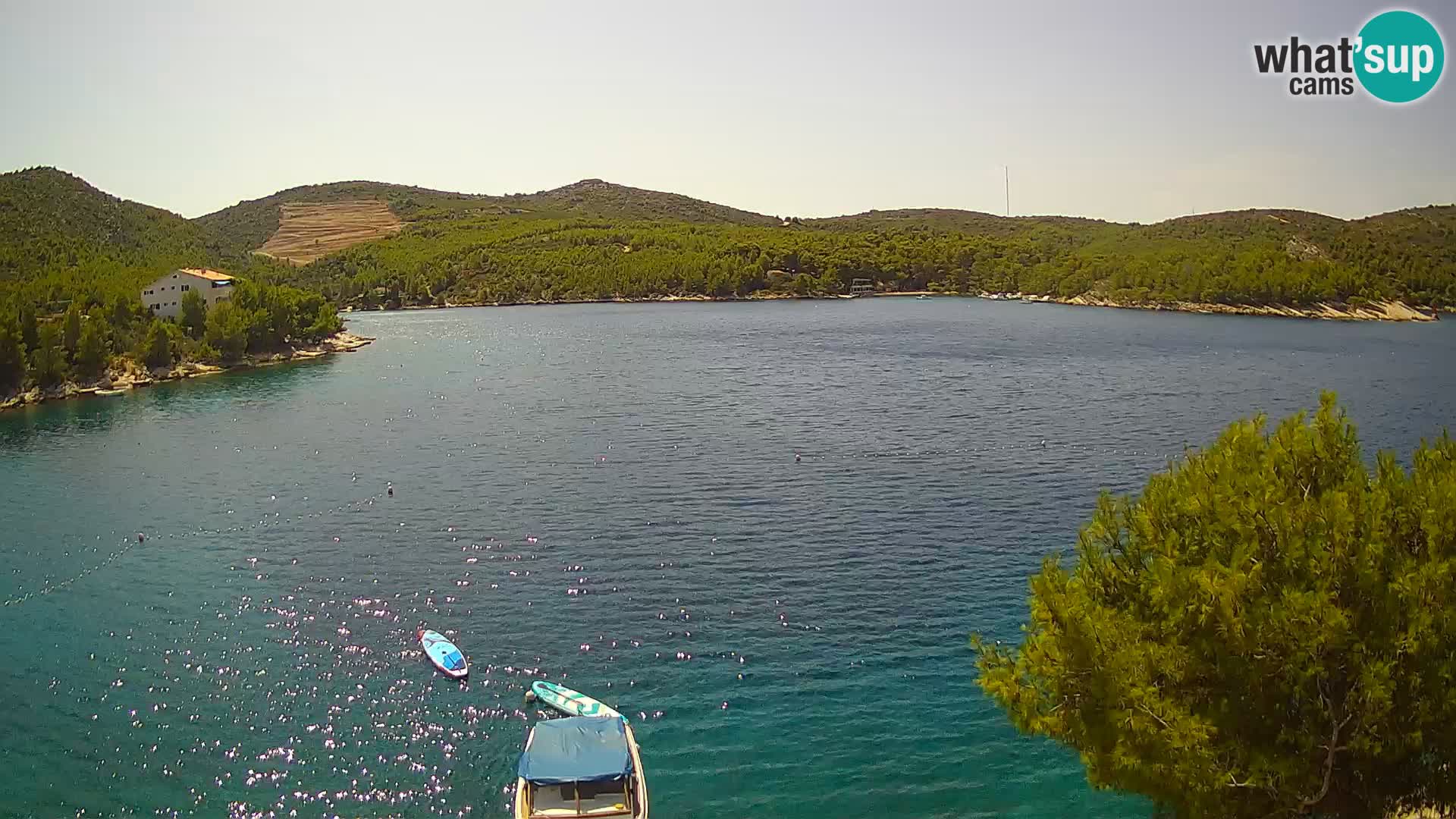 Camera Hvar Vira playa | Isla de Hvar | Dalmacia