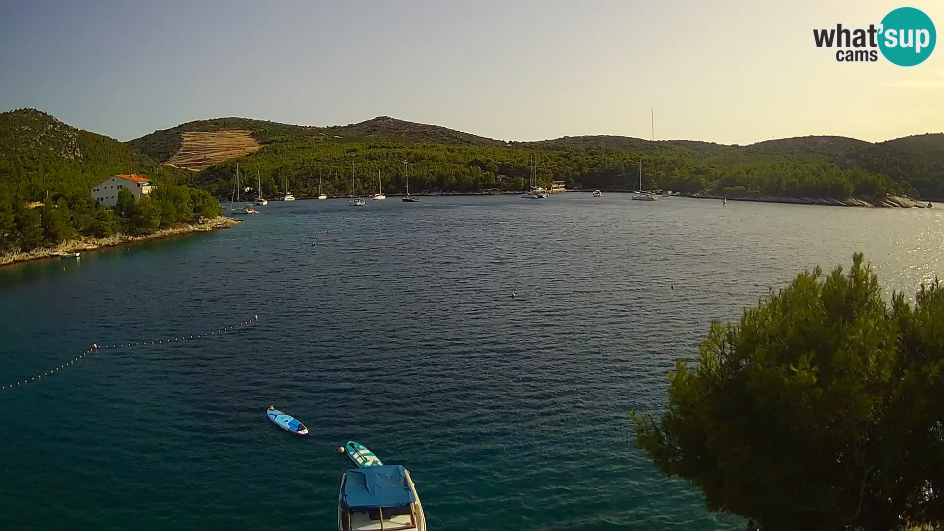 Camera Hvar Vira playa | Isla de Hvar | Dalmacia