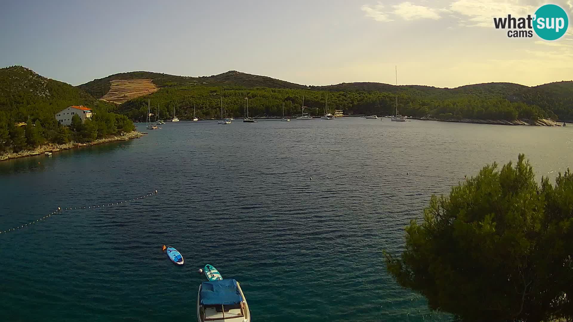 Camera Hvar Vira playa | Isla de Hvar | Dalmacia