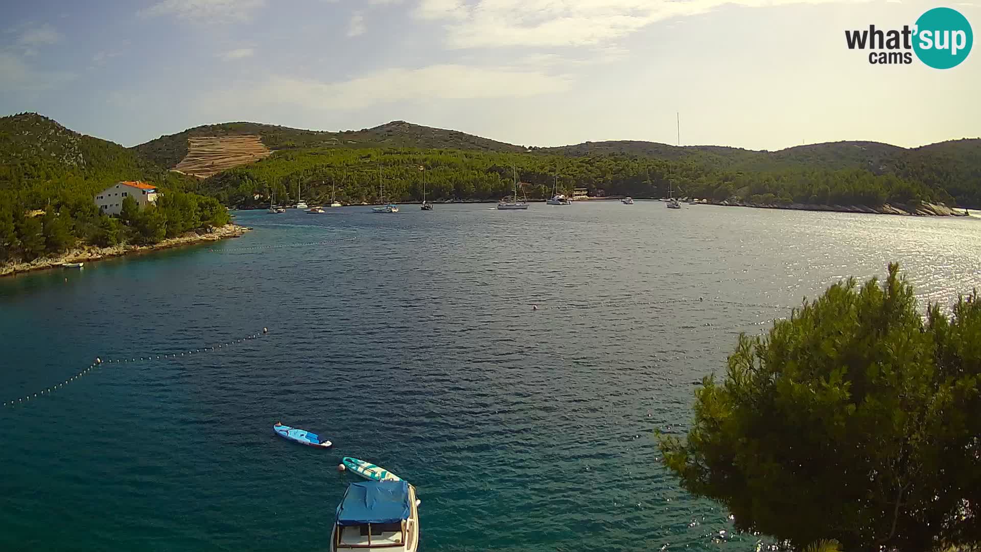 Camera Hvar Vira playa | Isla de Hvar | Dalmacia