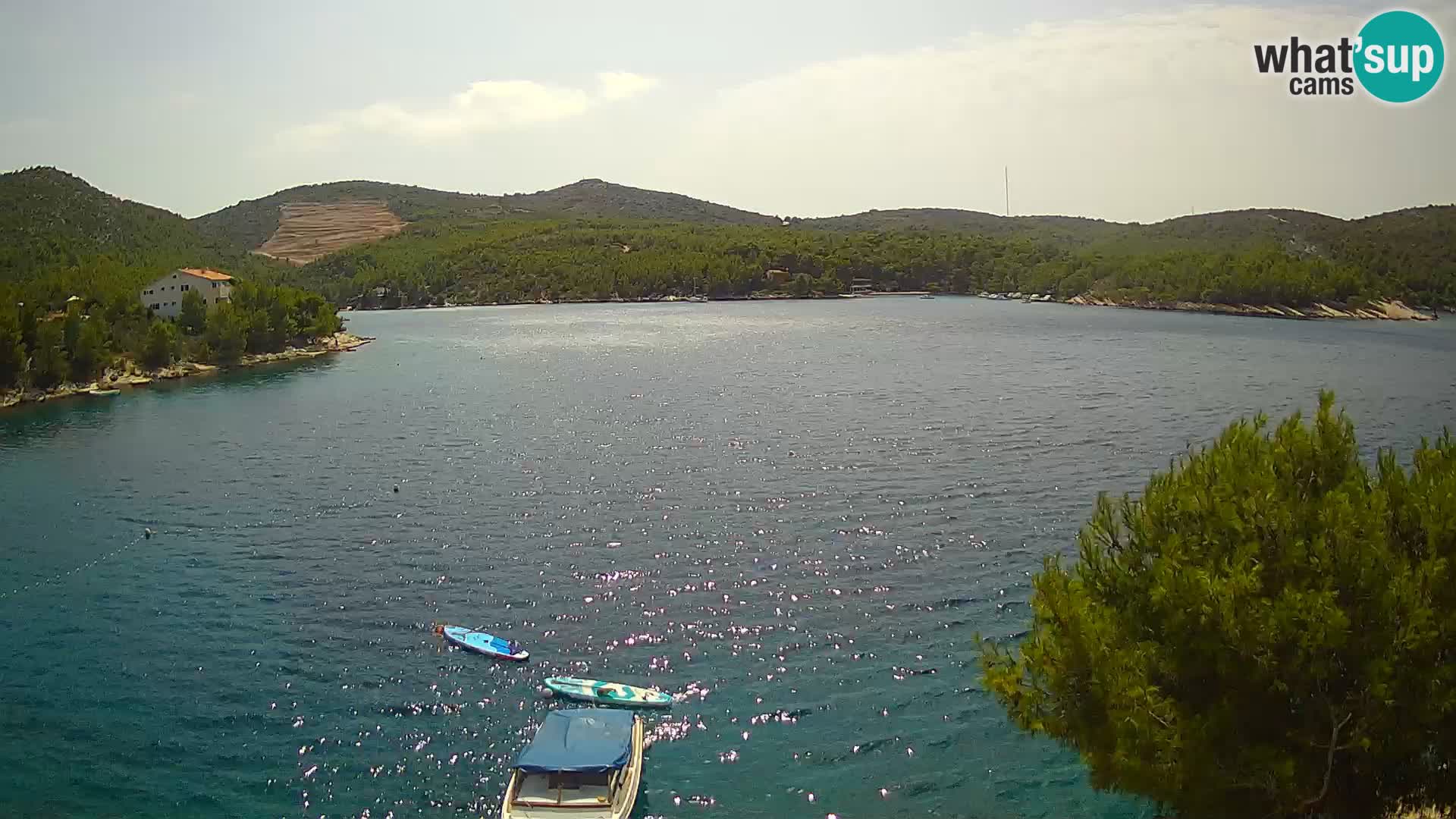 Camera Hvar Vira playa | Isla de Hvar | Dalmacia