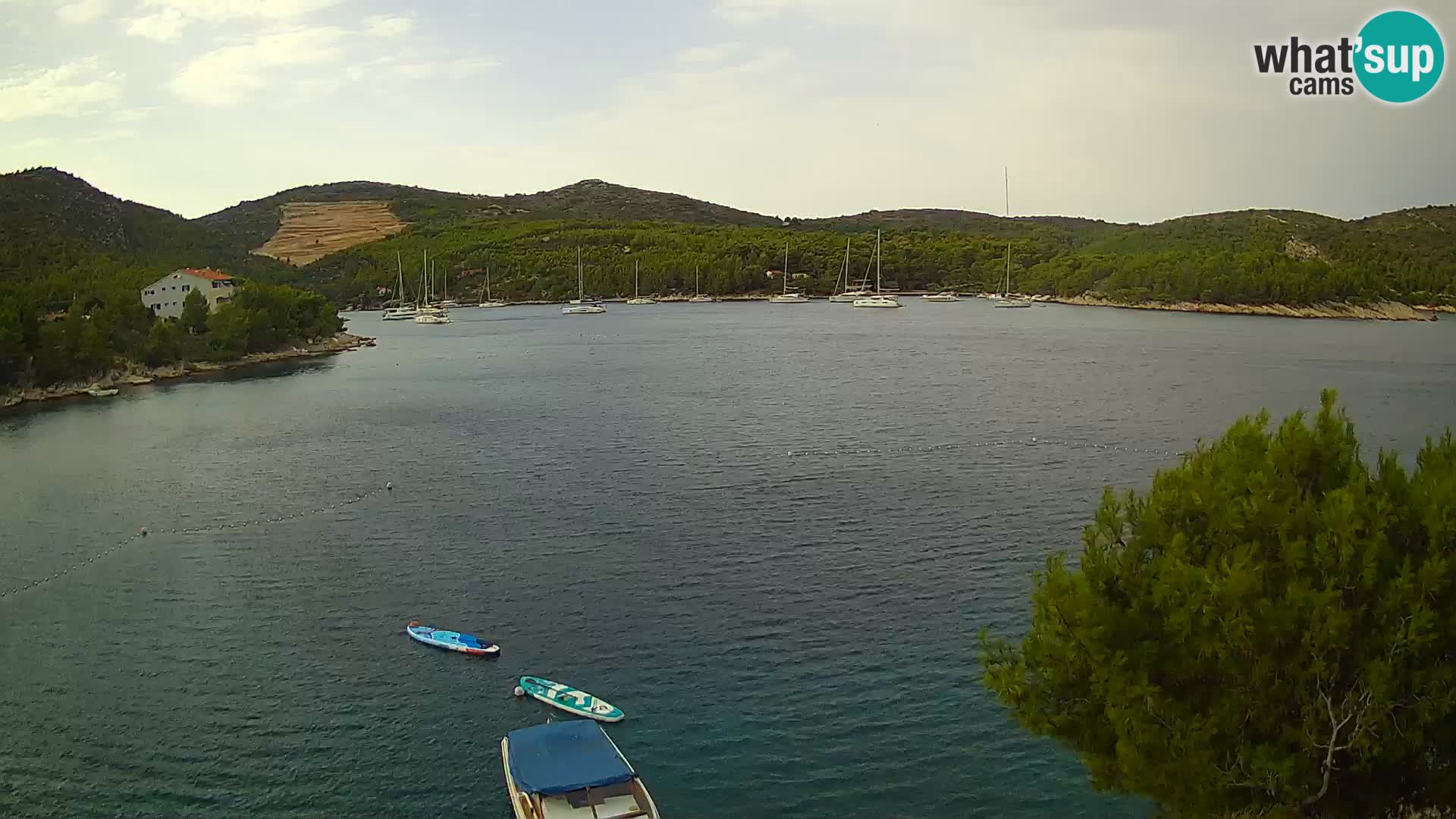 Live cam Hvar Vira plage | Île de Hvar | Dalmatie