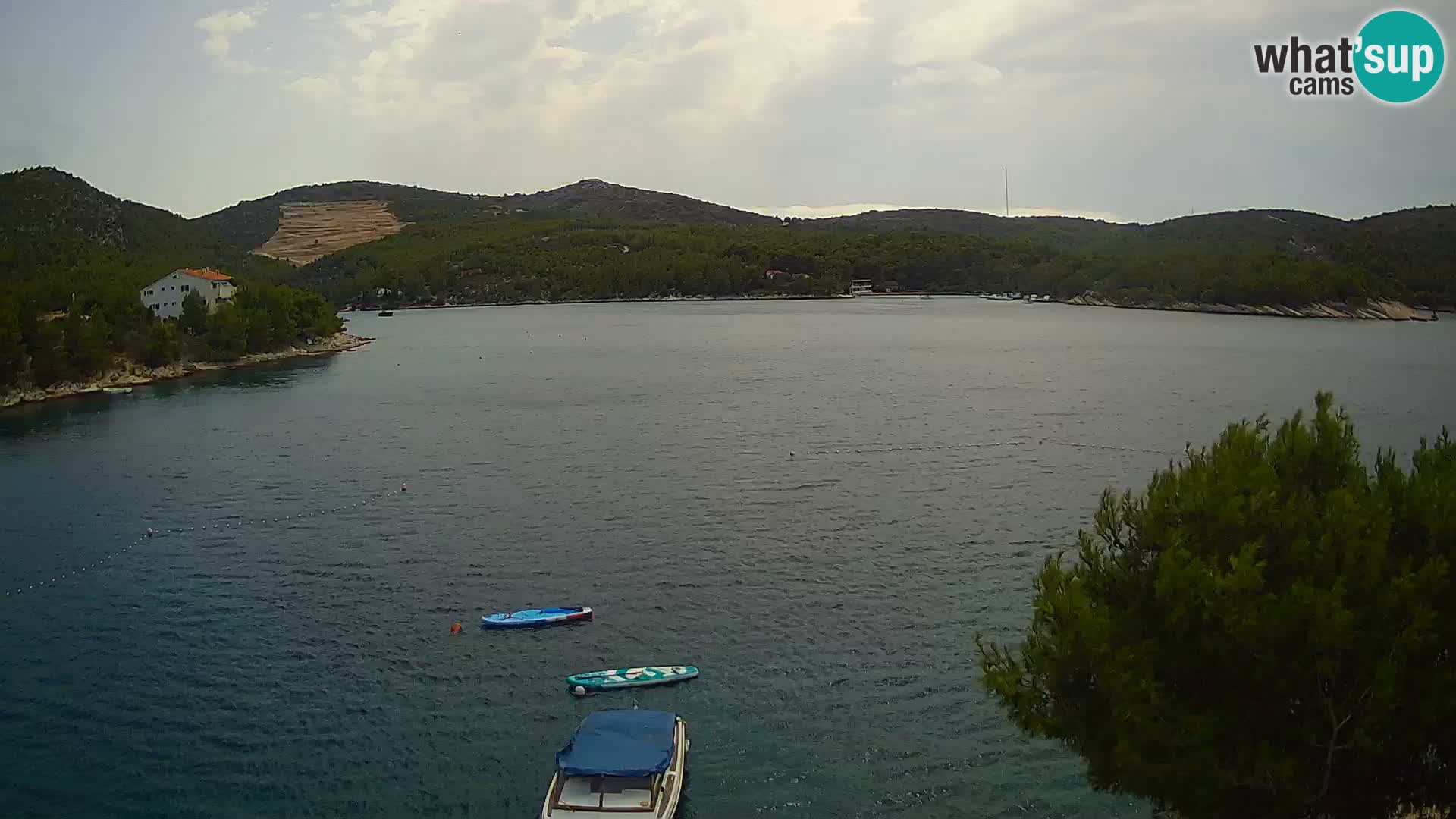 Camera Hvar Vira playa | Isla de Hvar | Dalmacia