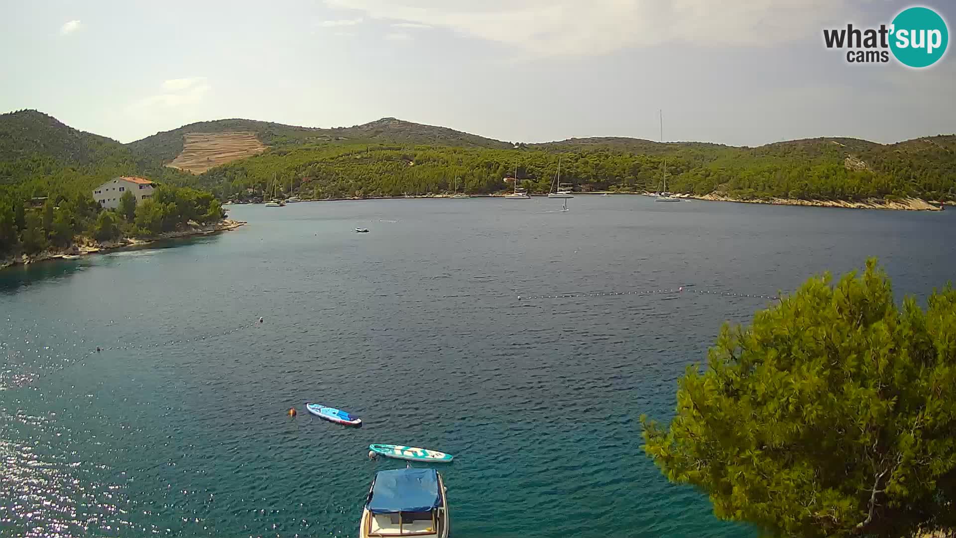 Camera Hvar Vira playa | Isla de Hvar | Dalmacia