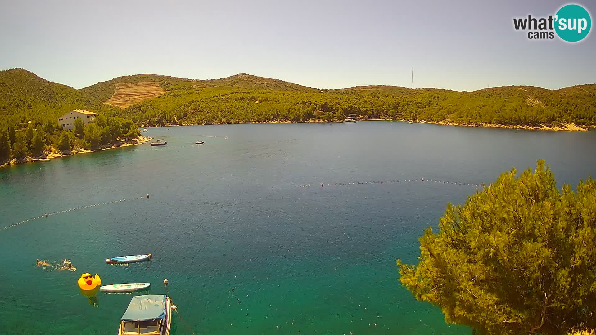 Live cam Hvar Vira plage | Île de Hvar | Dalmatie