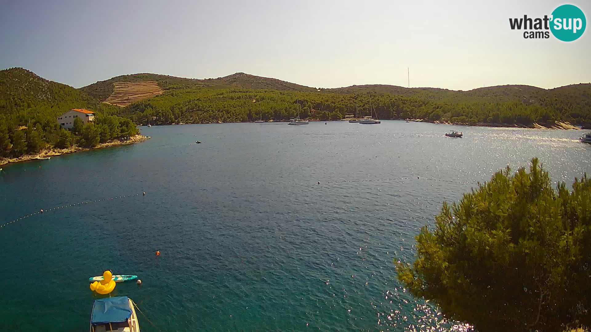 Camera Hvar Vira playa | Isla de Hvar | Dalmacia