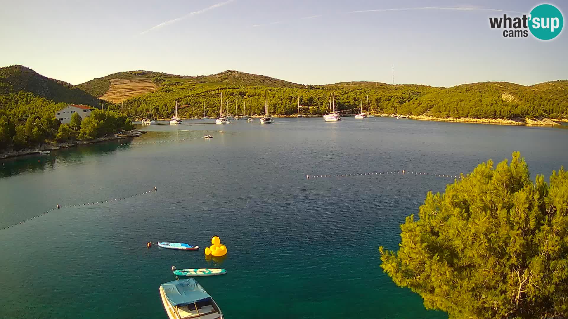 Hvar webcam Vira Strand | Hvar Insel | Dalmatien
