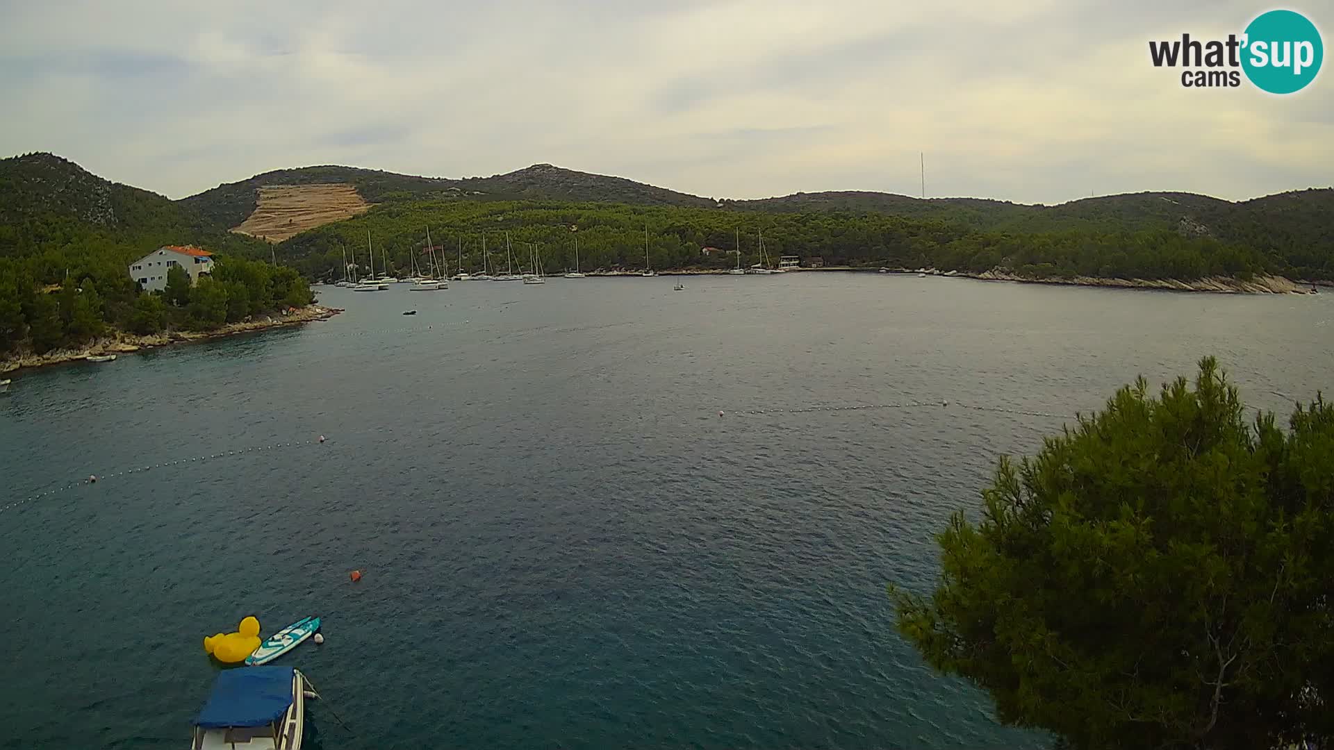 Webcam Hvar Vira beach | Hvar island | Dalmatia