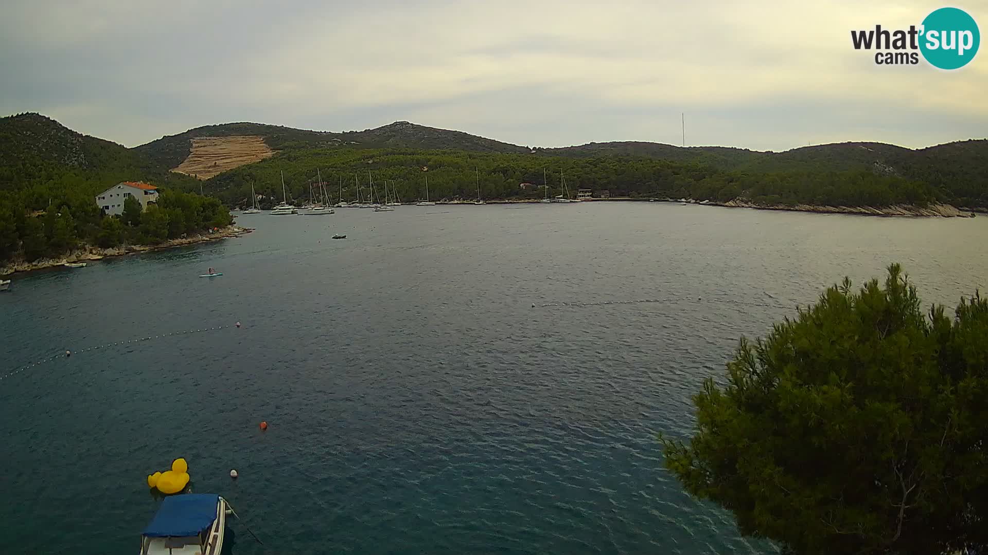 Kamera Hvar Vira plaža | Otok Hvar | Dalmacija
