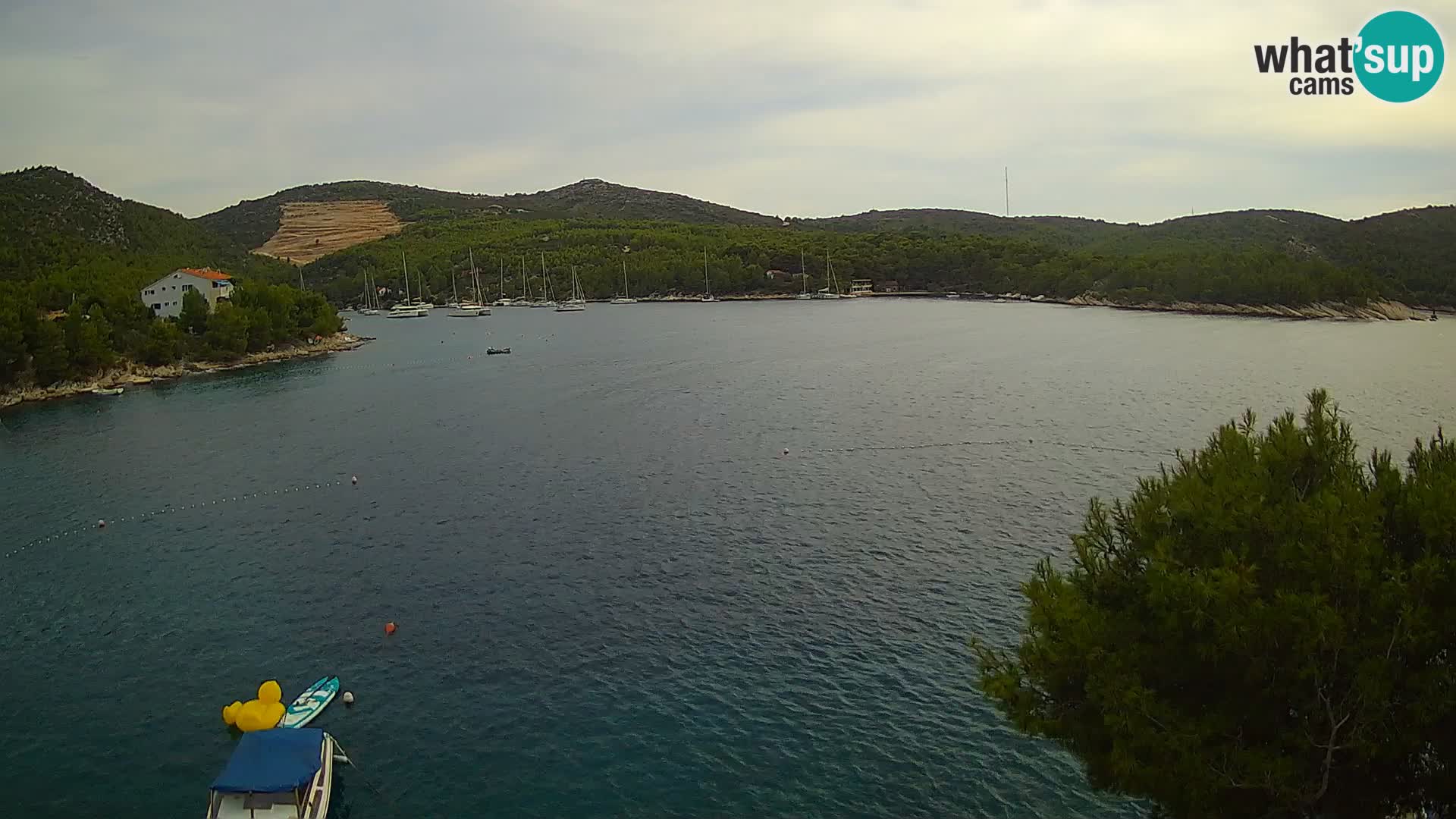 Kamera Hvar Vira plaža | Otok Hvar | Dalmacija