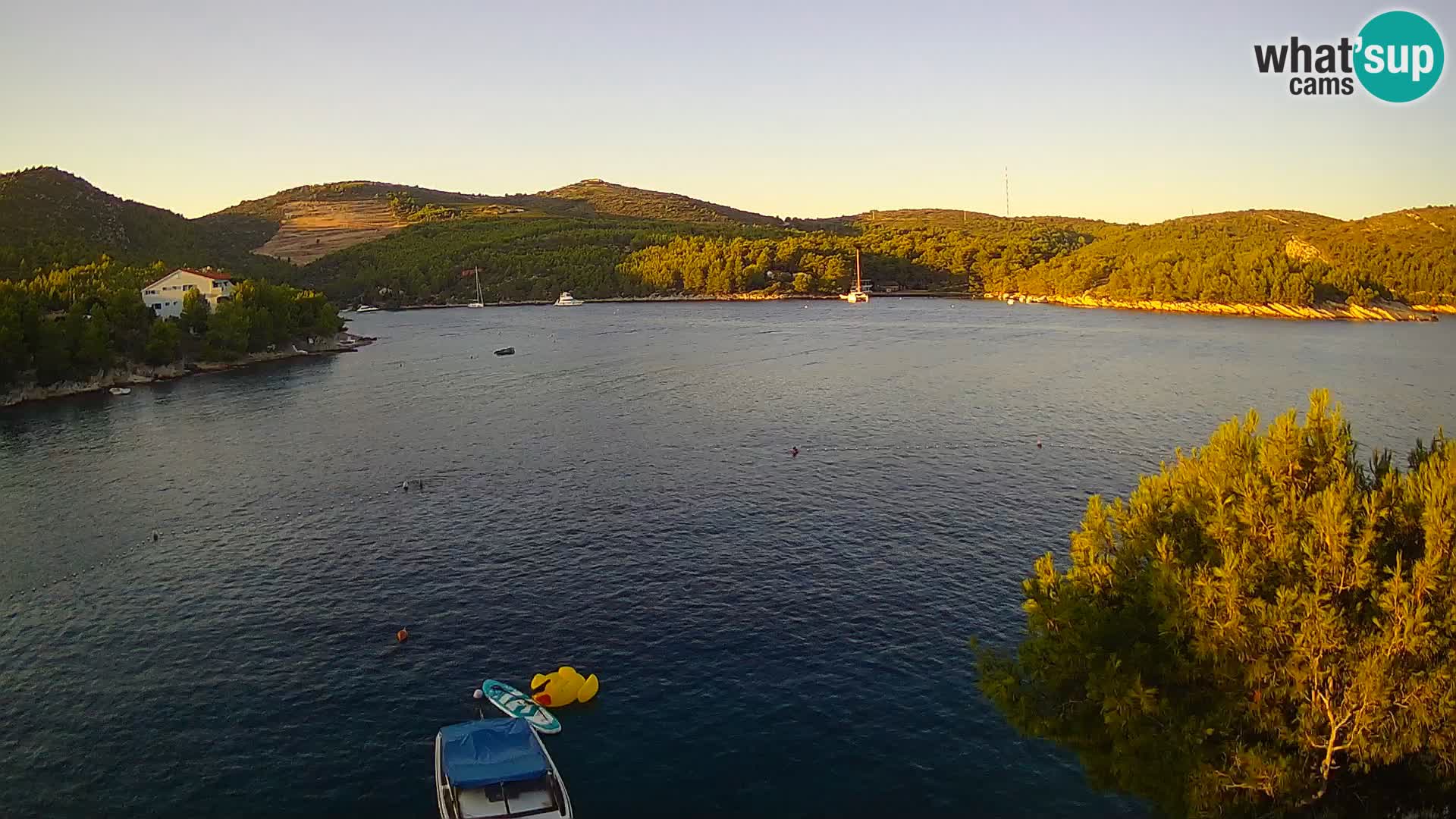 Camera Hvar Vira playa | Isla de Hvar | Dalmacia