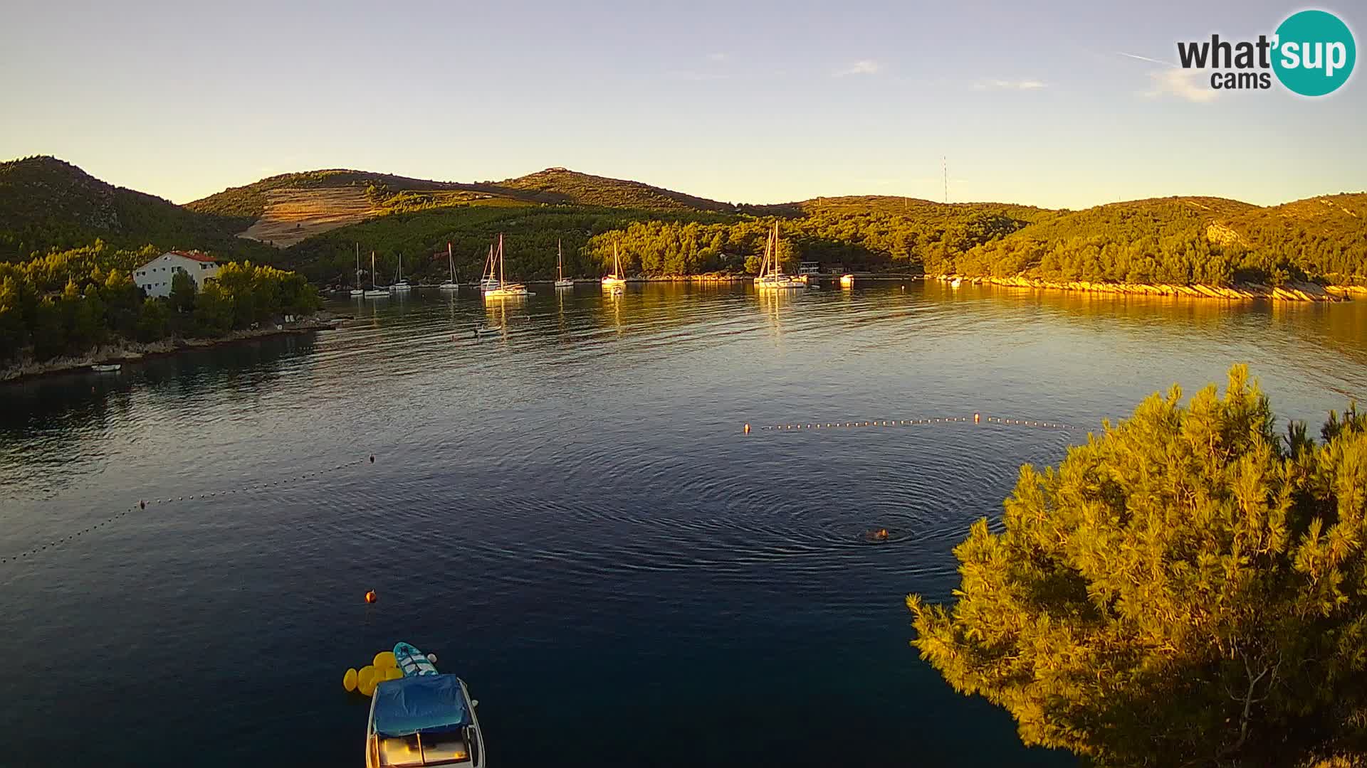 Camera Hvar Vira playa | Isla de Hvar | Dalmacia