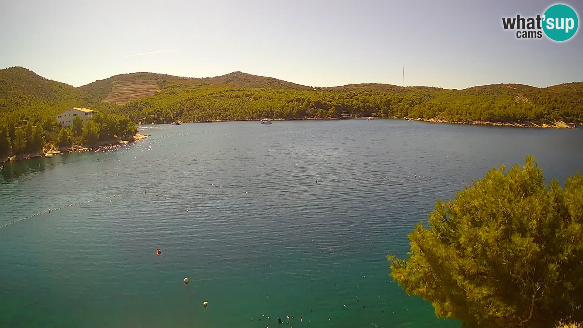 Live cam Hvar Vira plage | Île de Hvar | Dalmatie