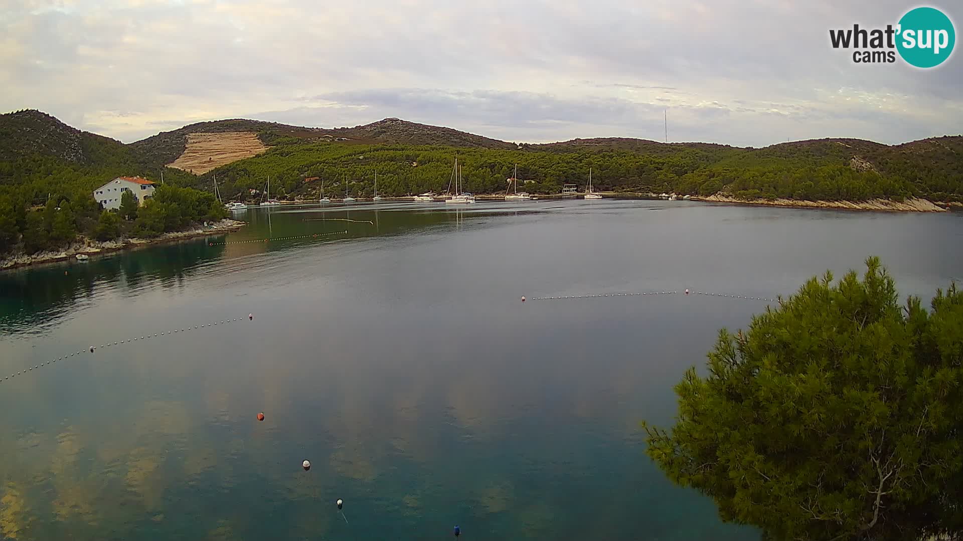 Camera Hvar Vira playa | Isla de Hvar | Dalmacia