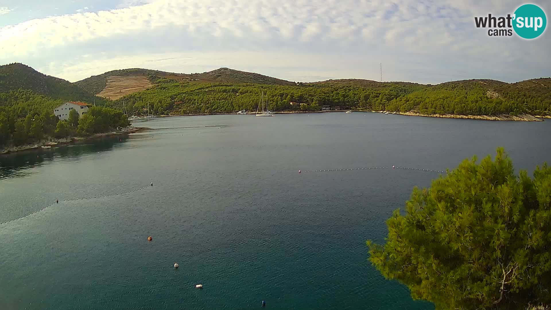 Camera Hvar Vira playa | Isla de Hvar | Dalmacia