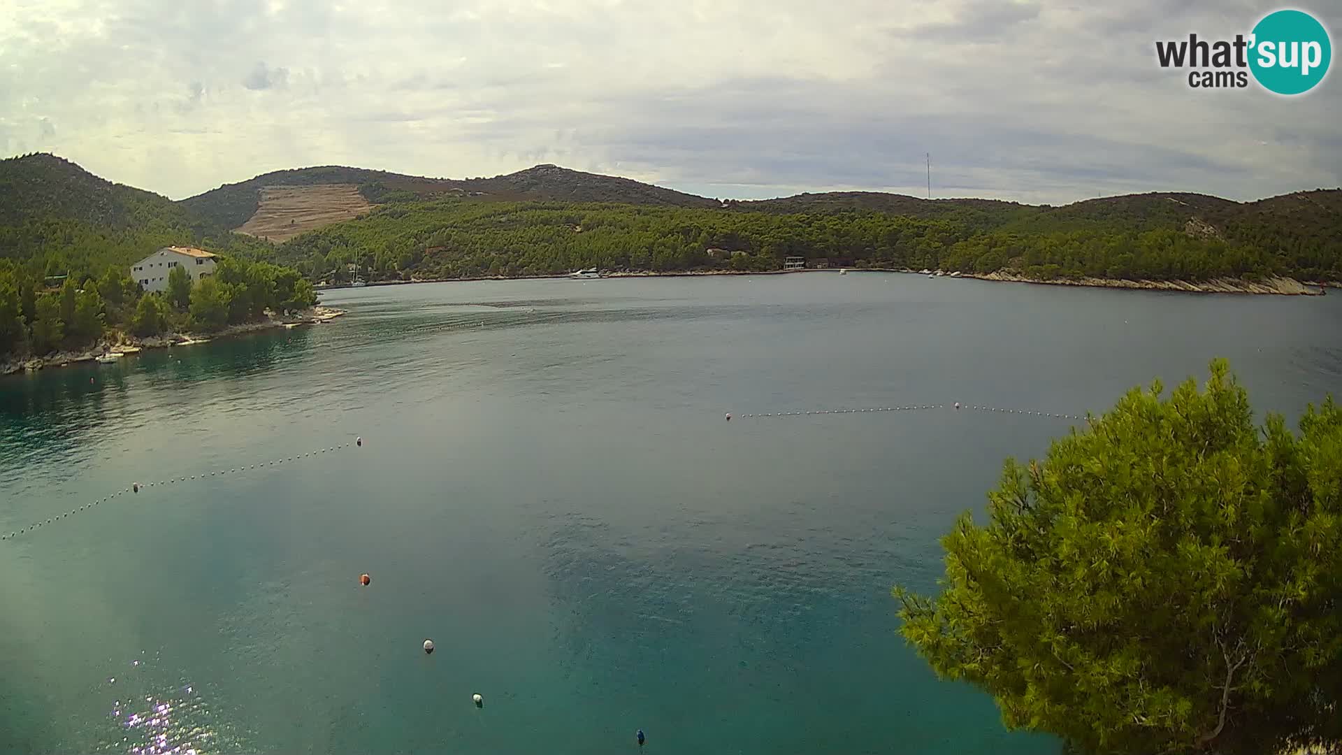 Camera Hvar Vira playa | Isla de Hvar | Dalmacia