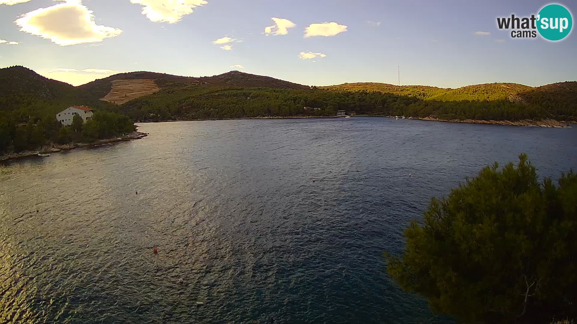 Live cam Hvar Vira plage | Île de Hvar | Dalmatie
