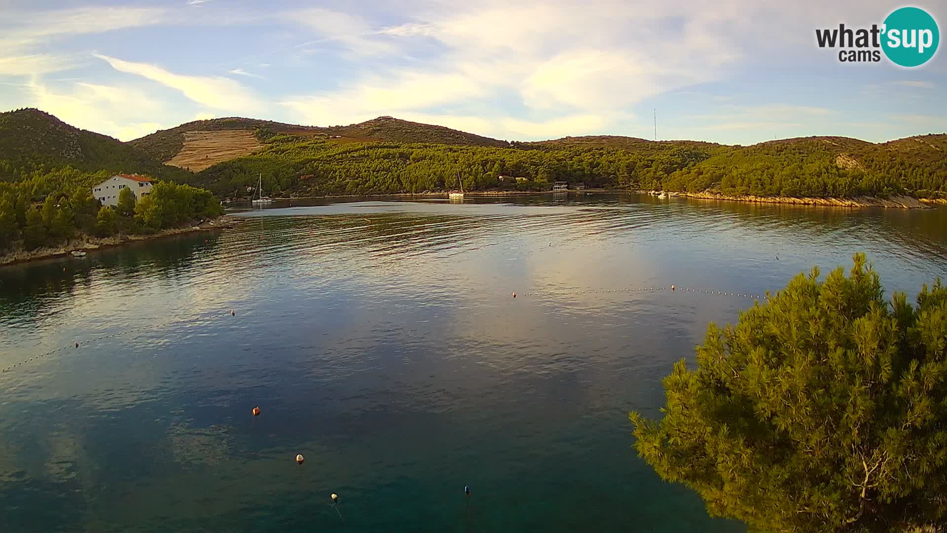 Camera Hvar Vira playa | Isla de Hvar | Dalmacia
