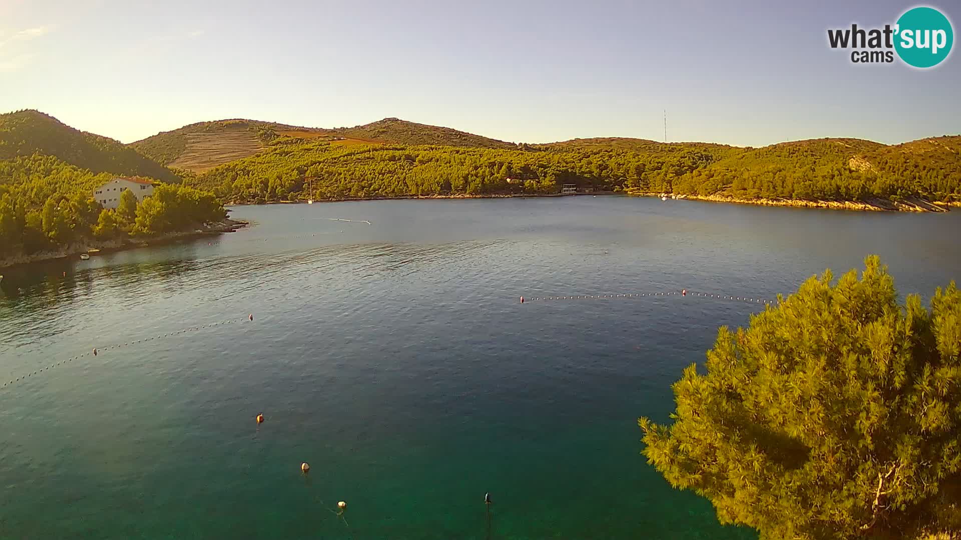 Hvar webcam Vira Strand | Hvar Insel | Dalmatien