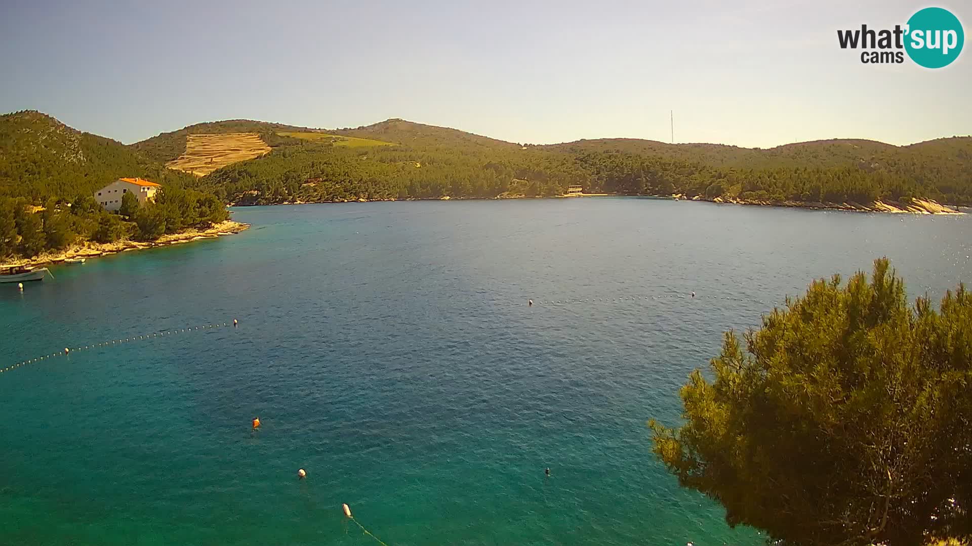 Hvar webcam Vira Strand | Hvar Insel | Dalmatien